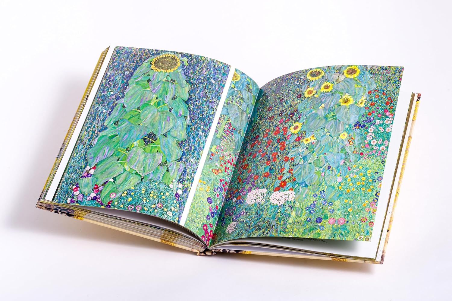 additional book photo