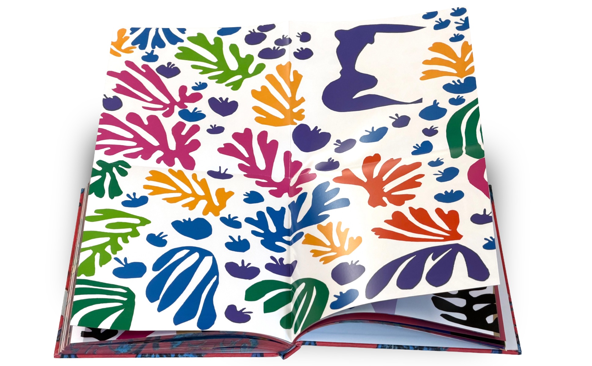 additional book photo