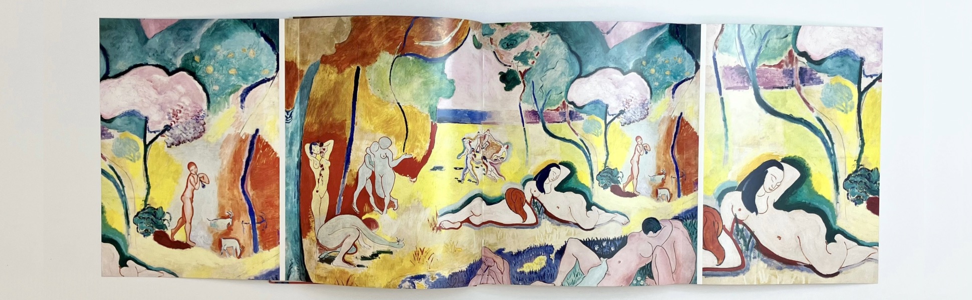 additional book photo