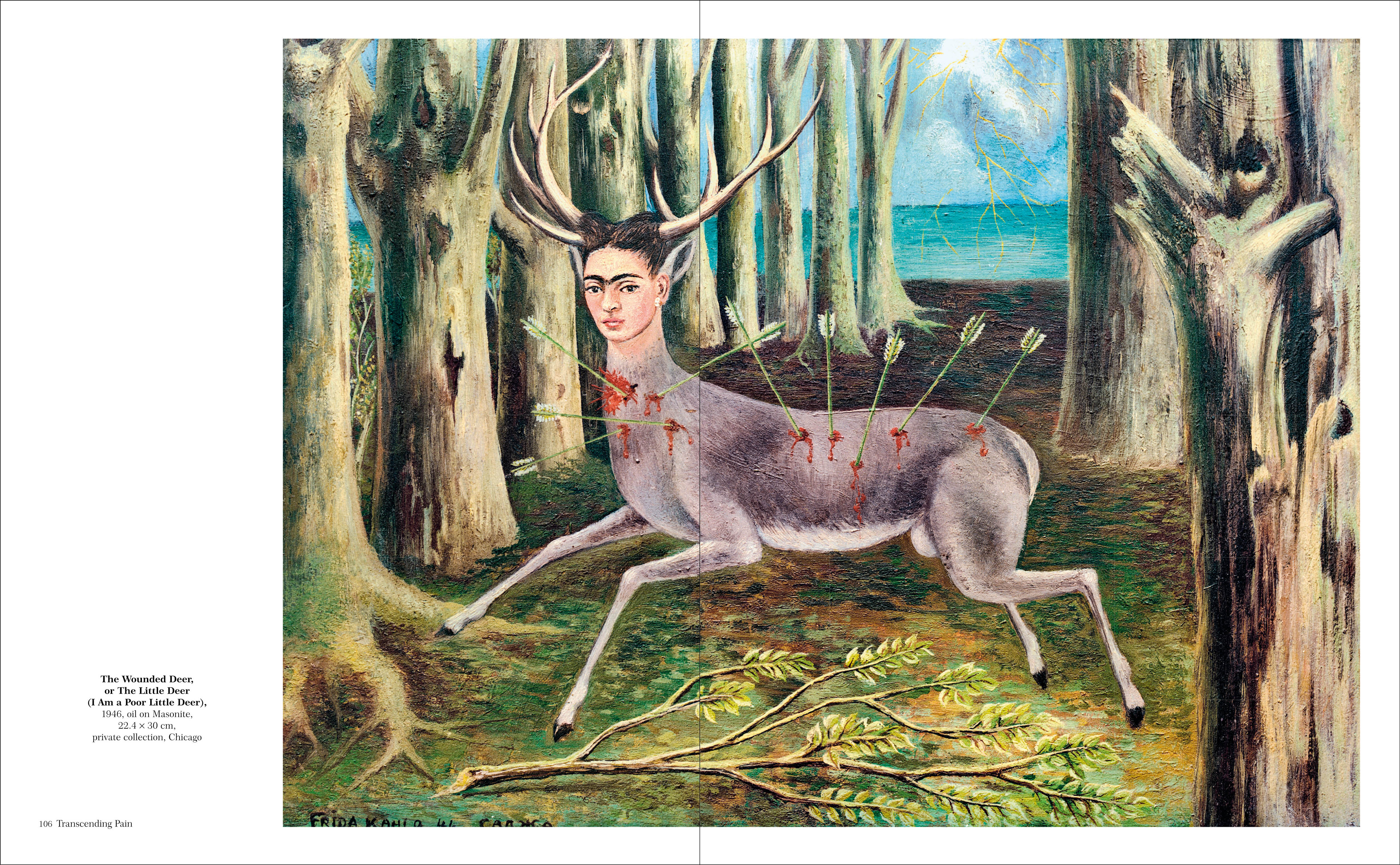 additional book photo