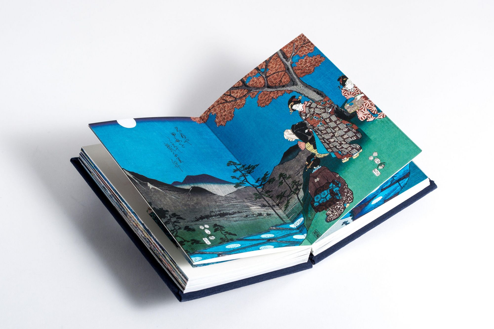 additional book photo