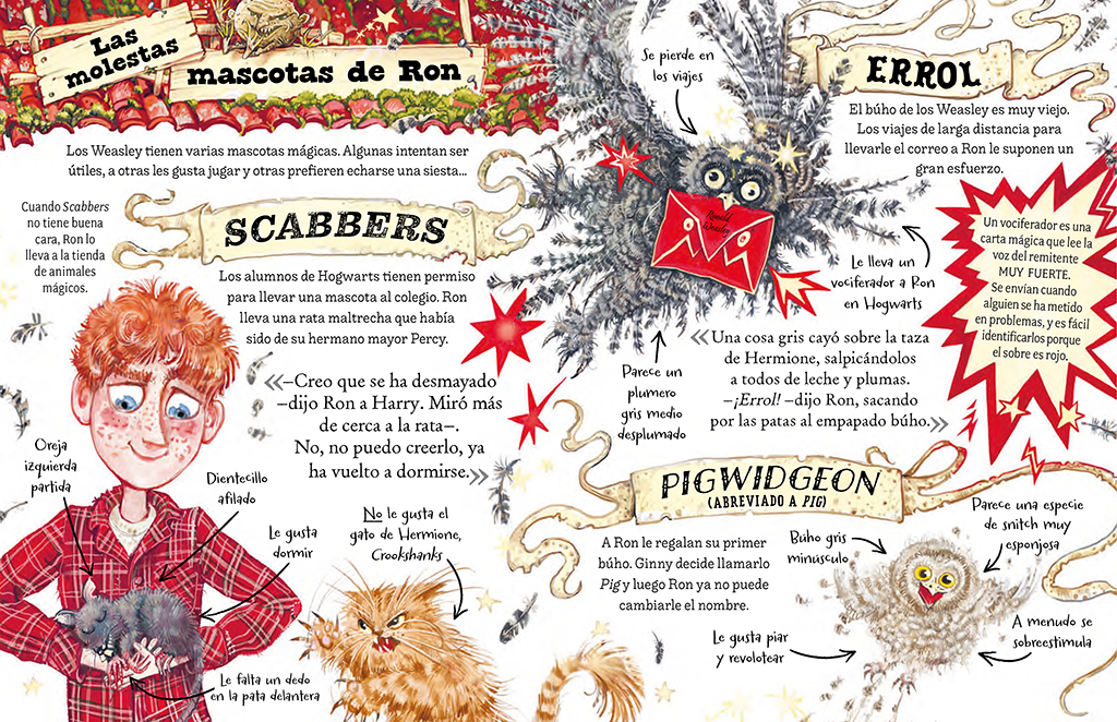 additional book photo