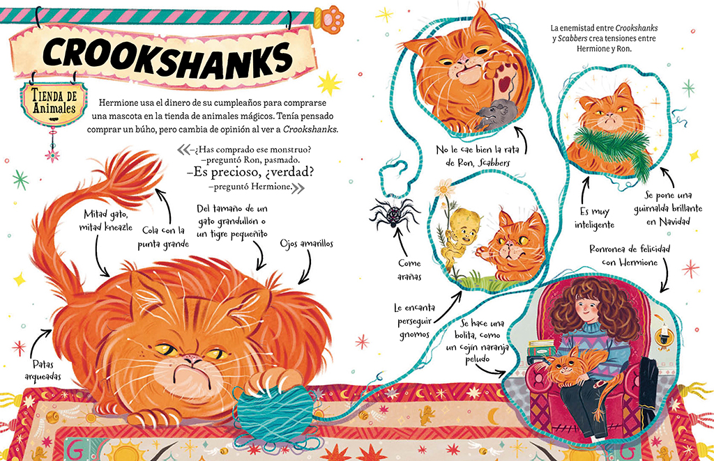 additional book photo