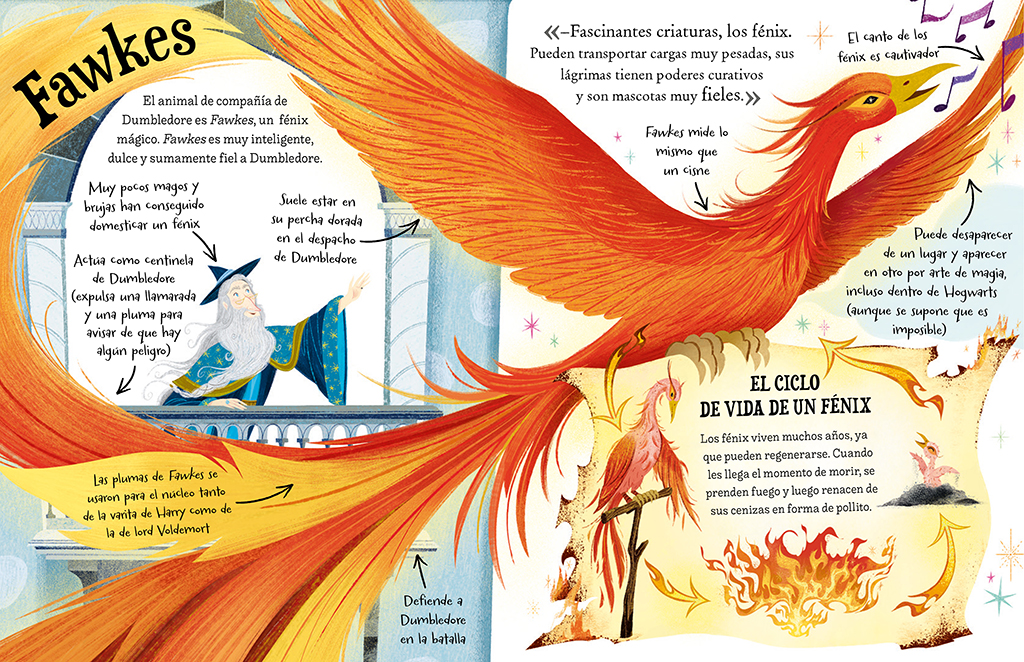 additional book photo