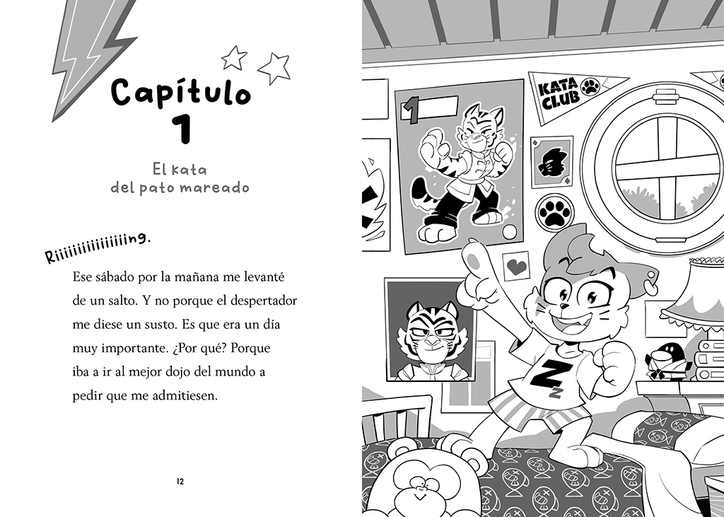 additional book photo