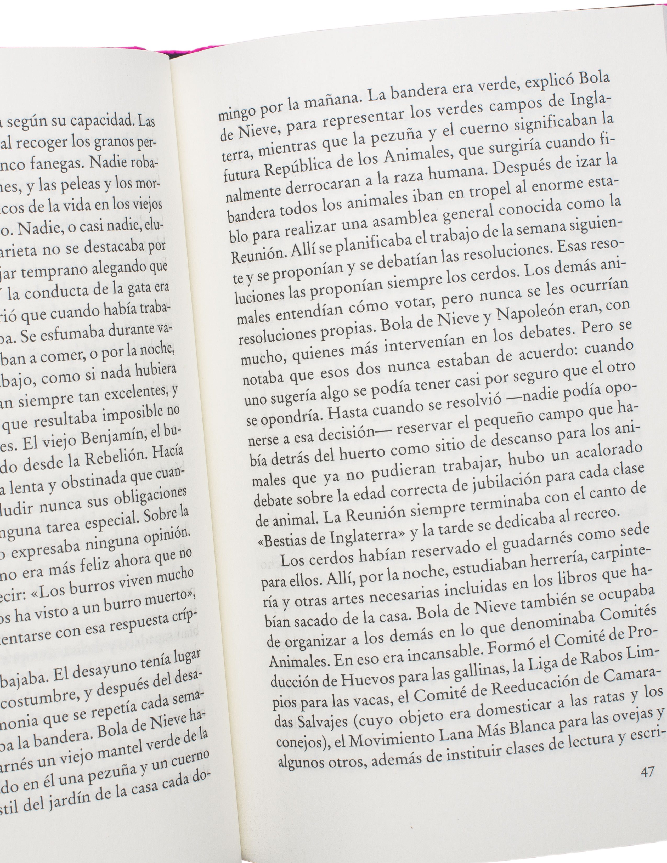 additional book photo