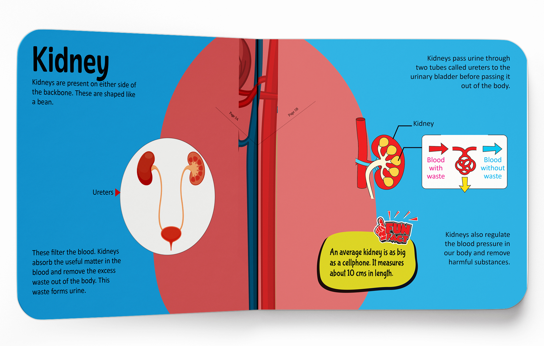 additional book photo