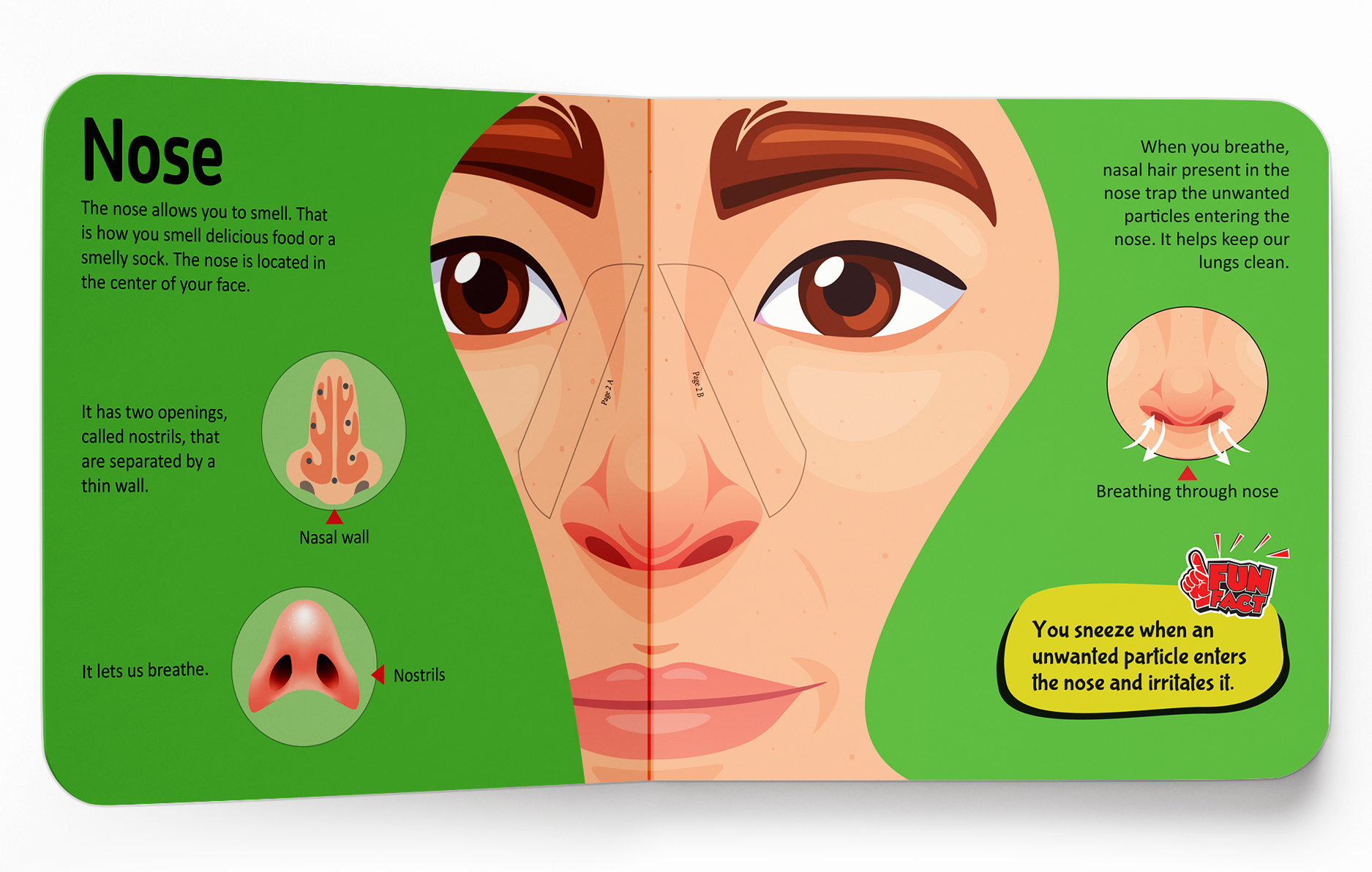 additional book photo
