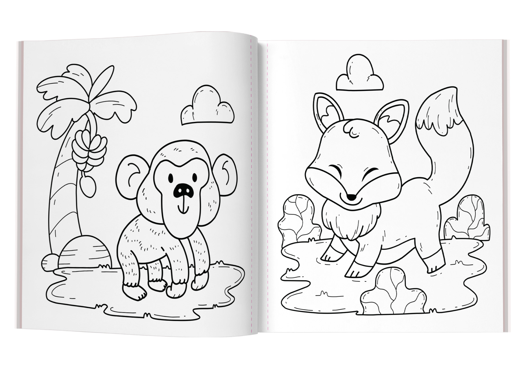 additional book photo
