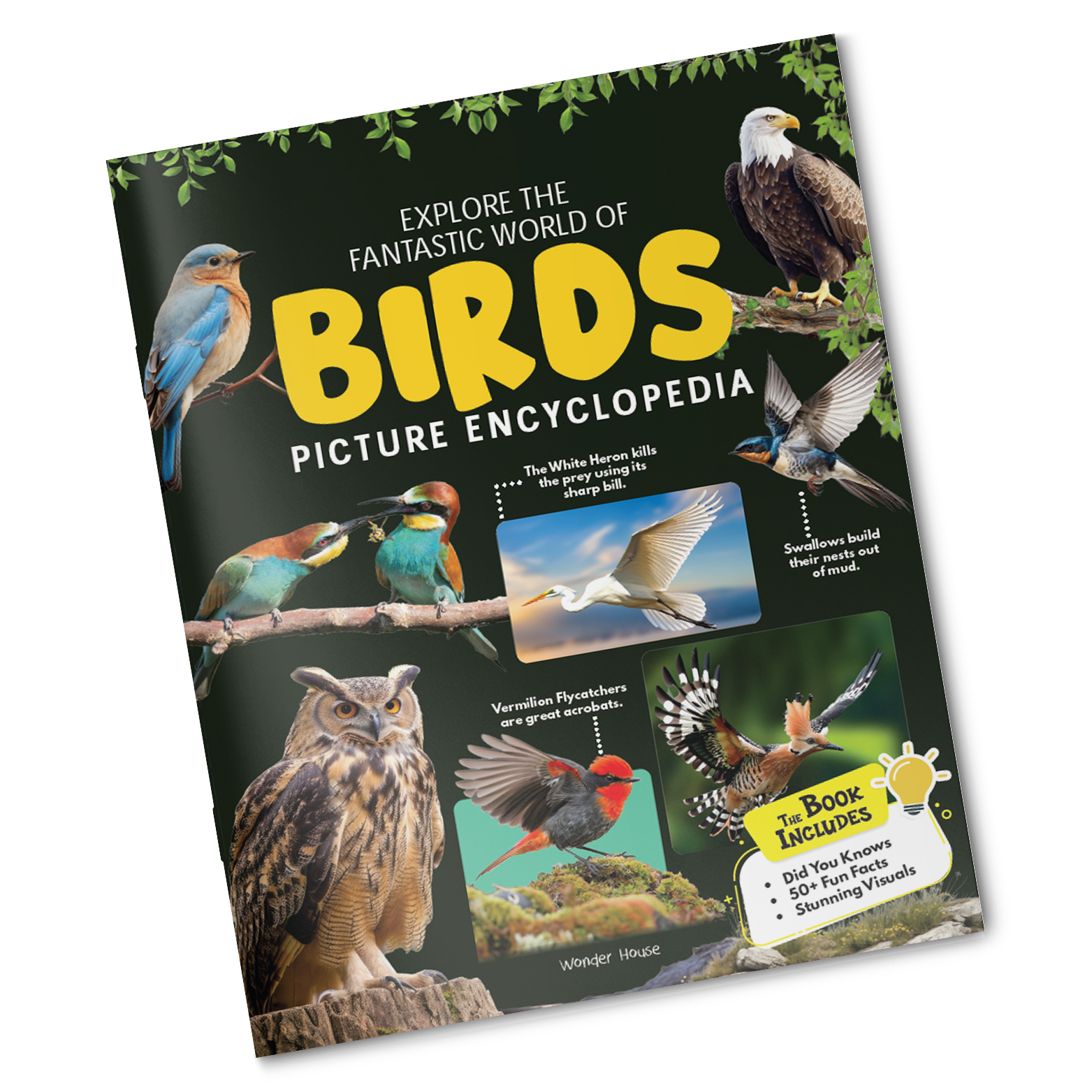 additional book photo