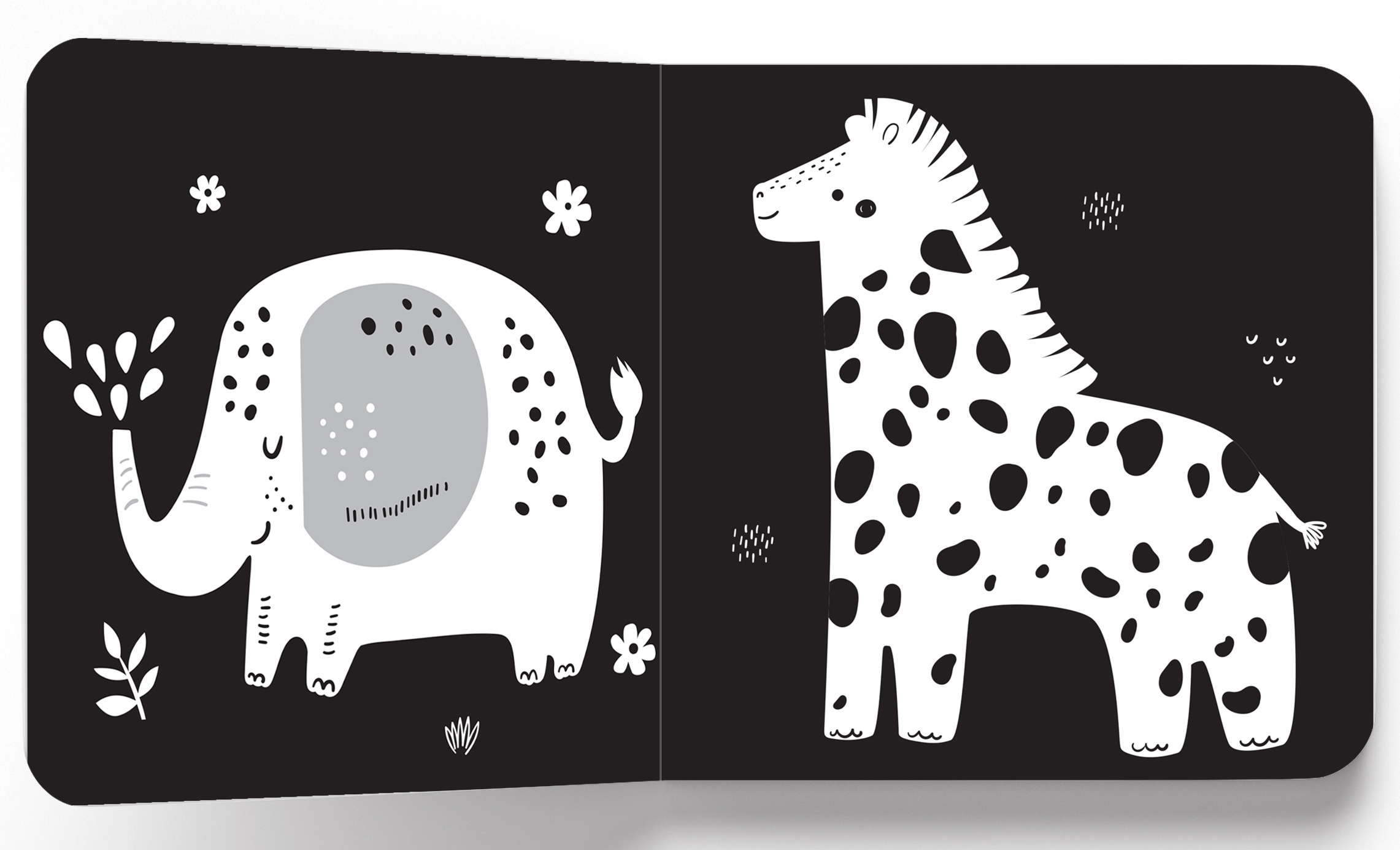additional book photo