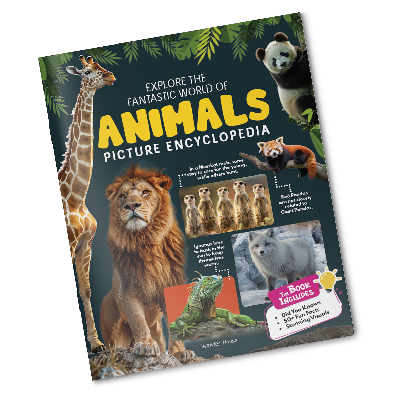 additional book photo