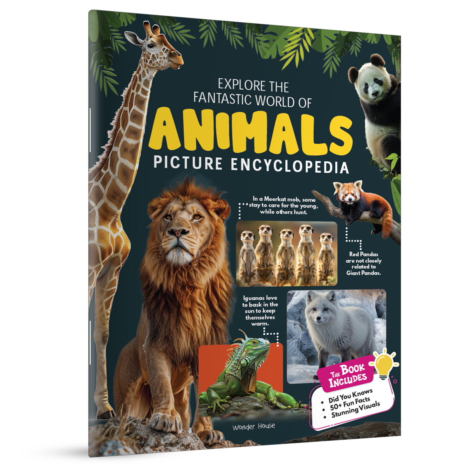additional book photo