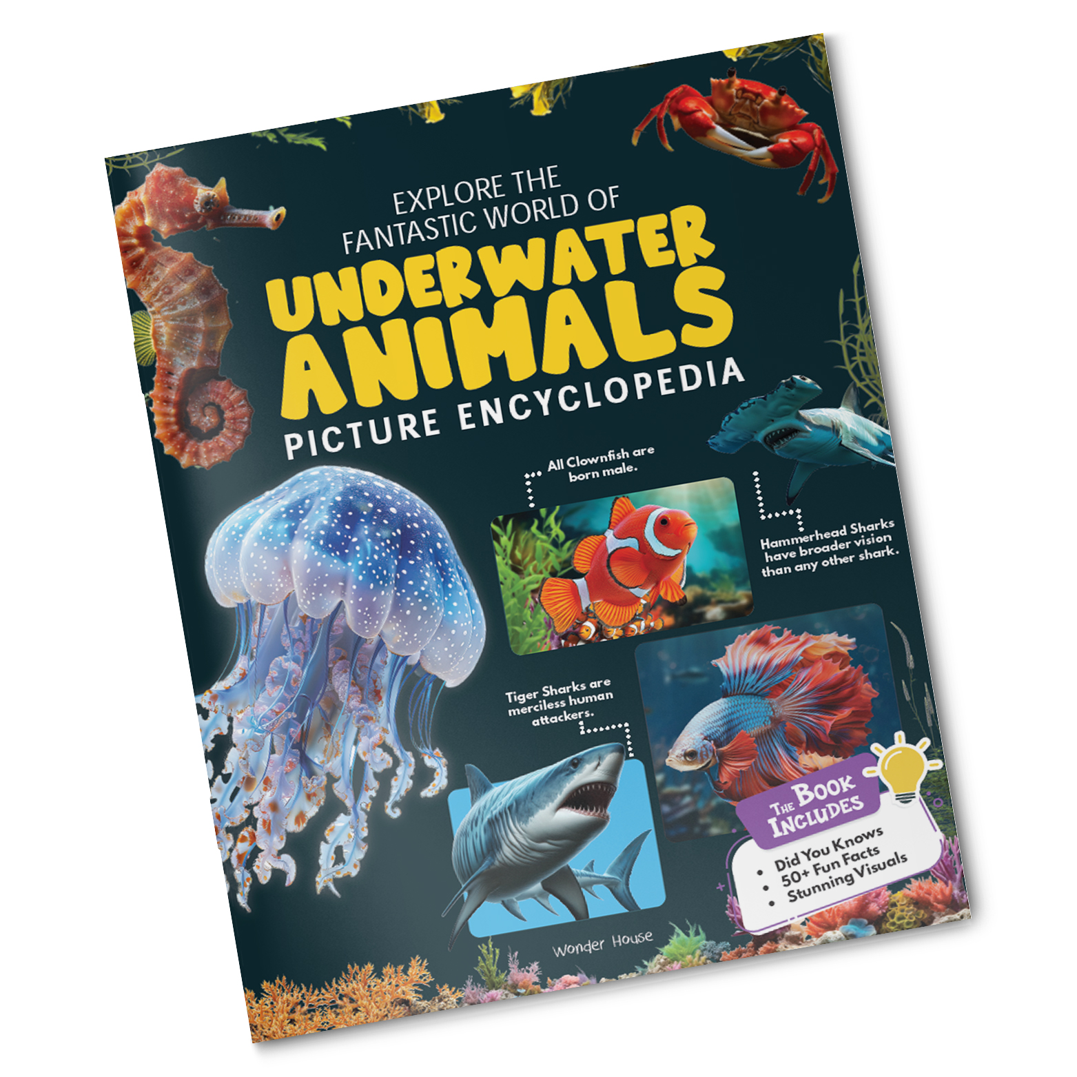 additional book photo