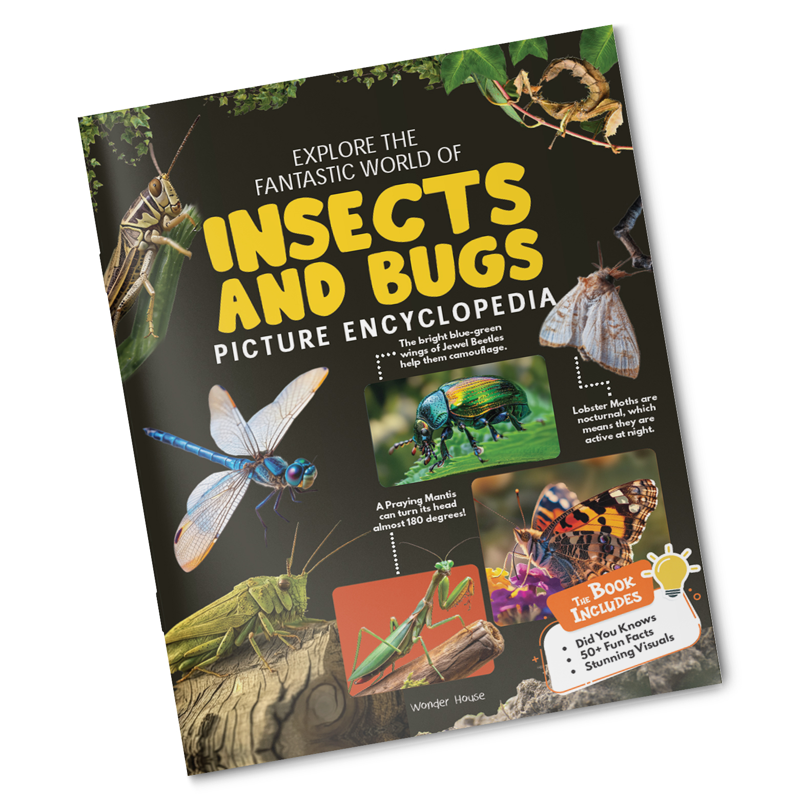 additional book photo