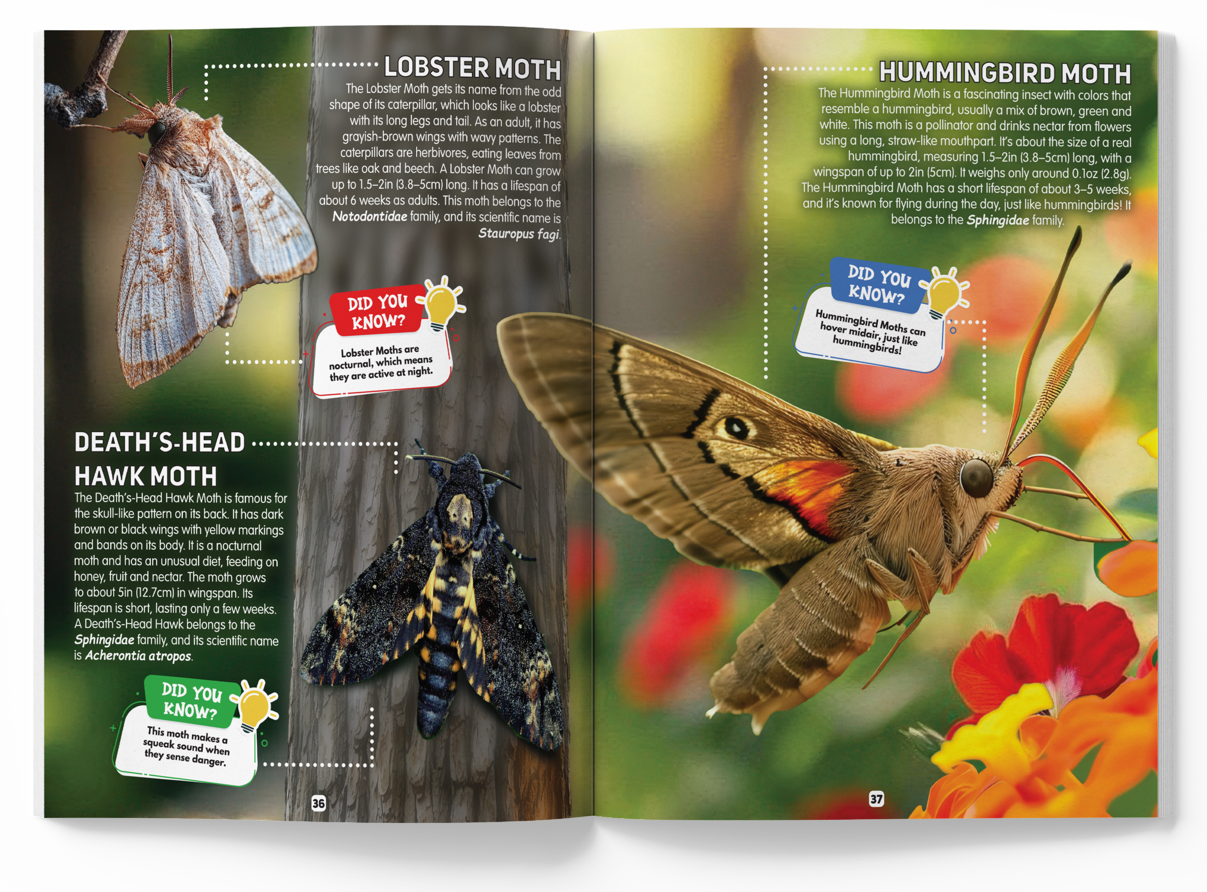 additional book photo
