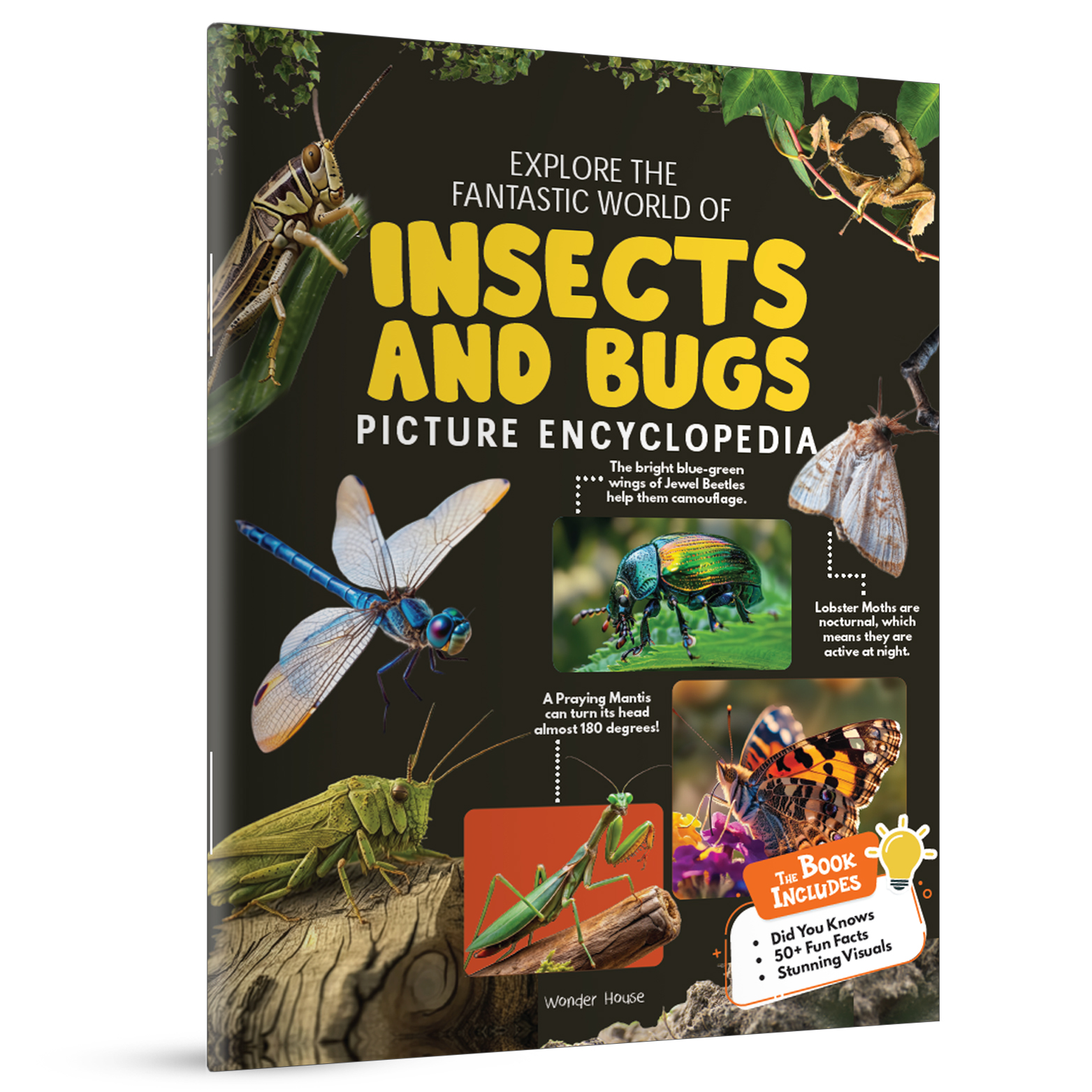 additional book photo