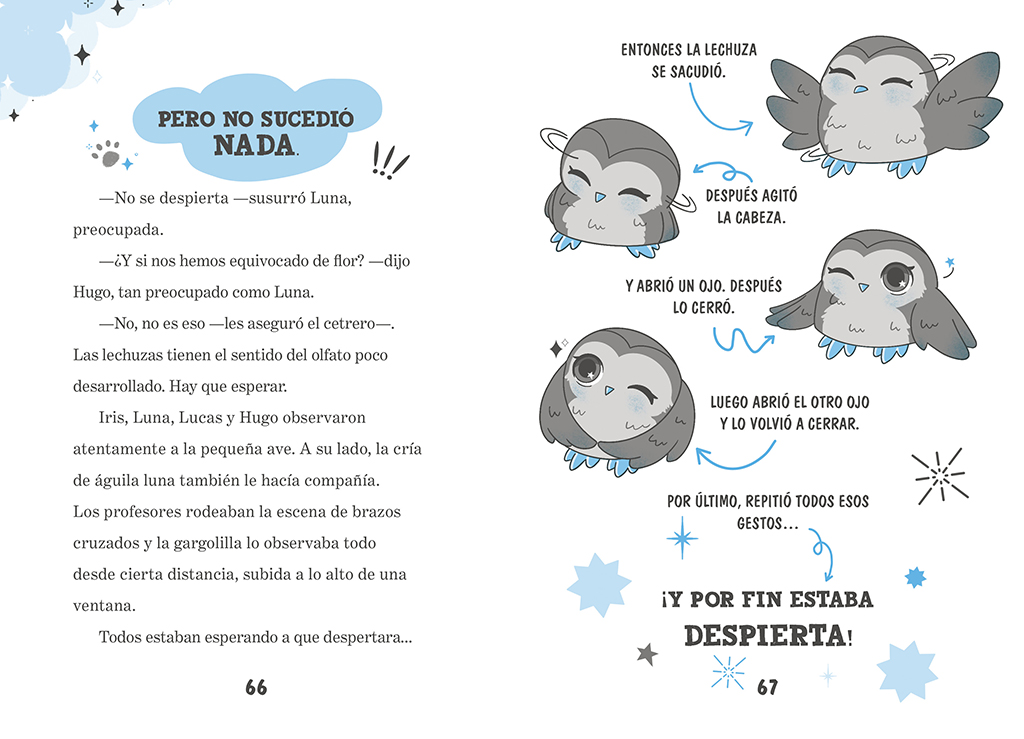 additional book photo