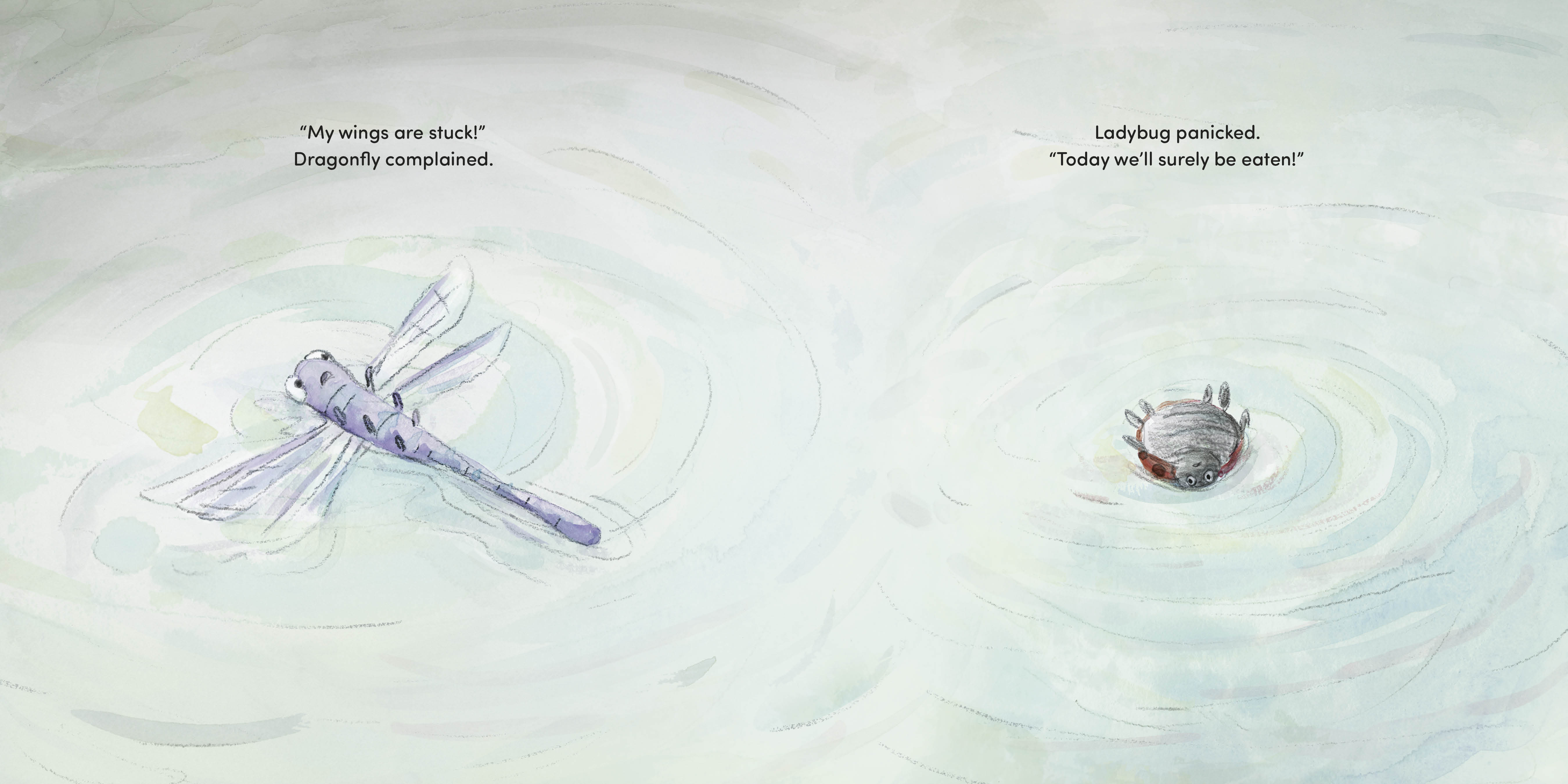 additional book photo