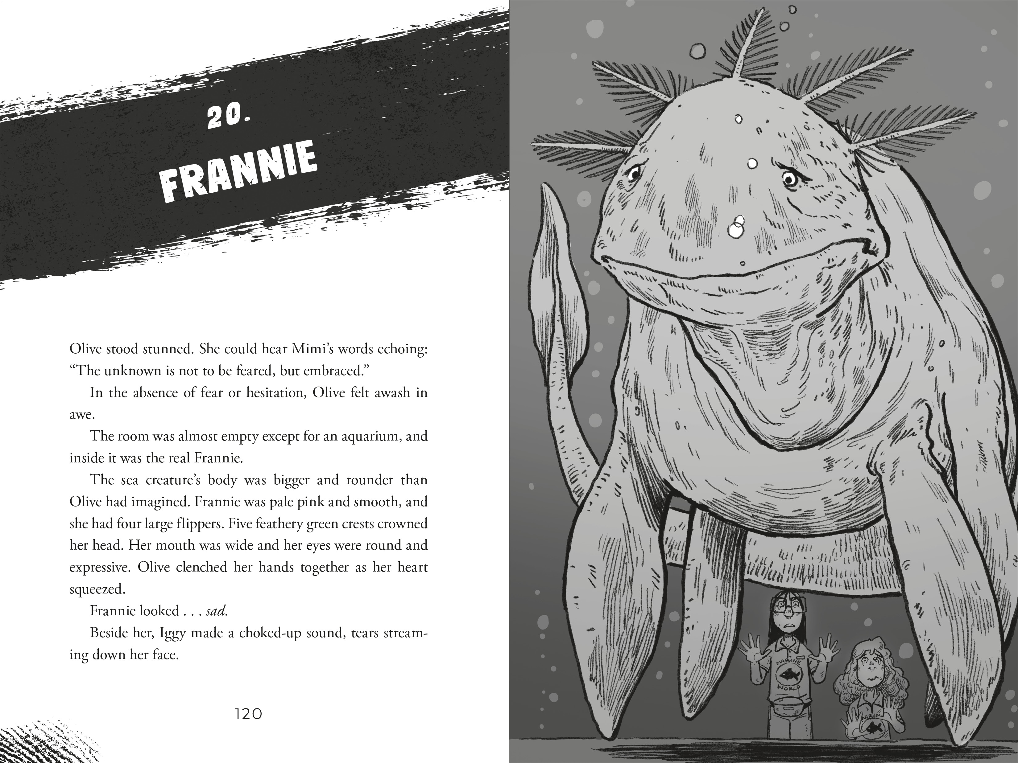 additional book photo