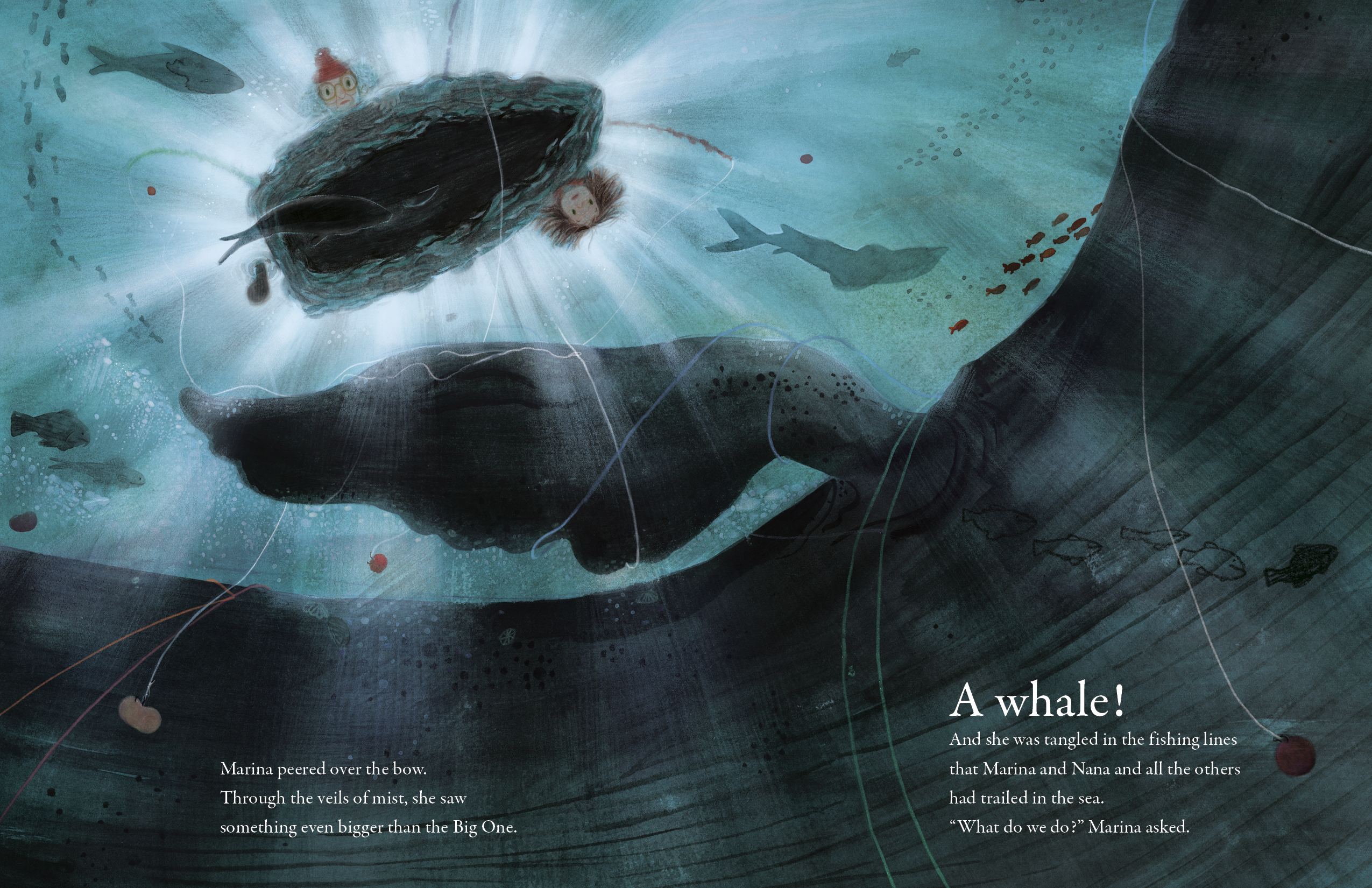 additional book photo