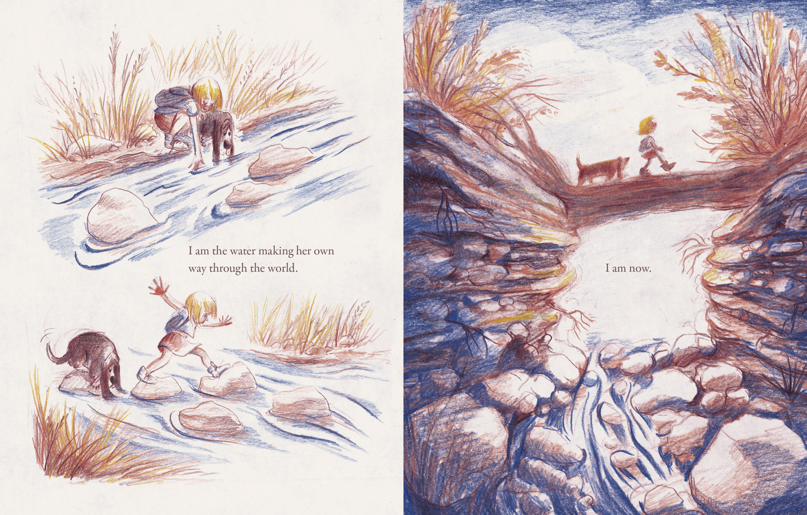 additional book photo