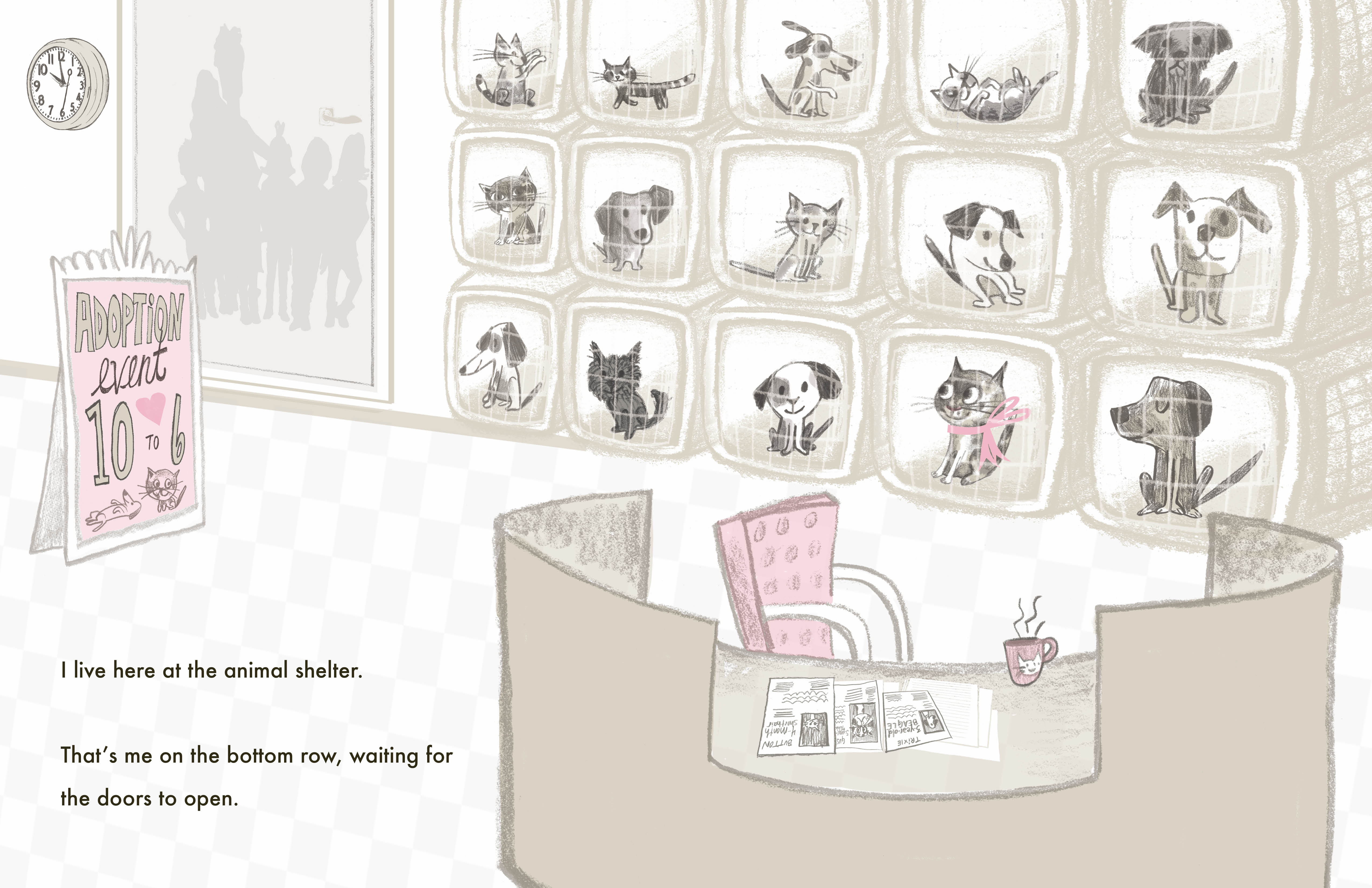 additional book photo