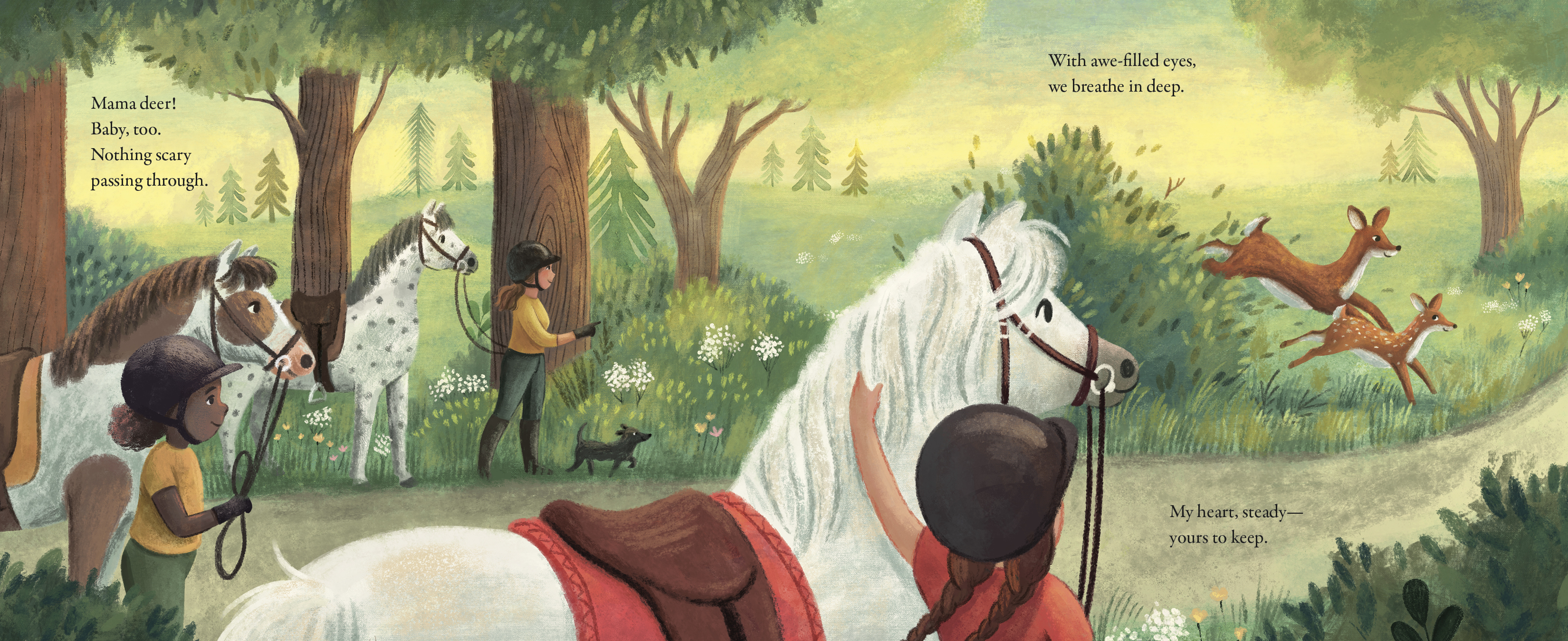 additional book photo