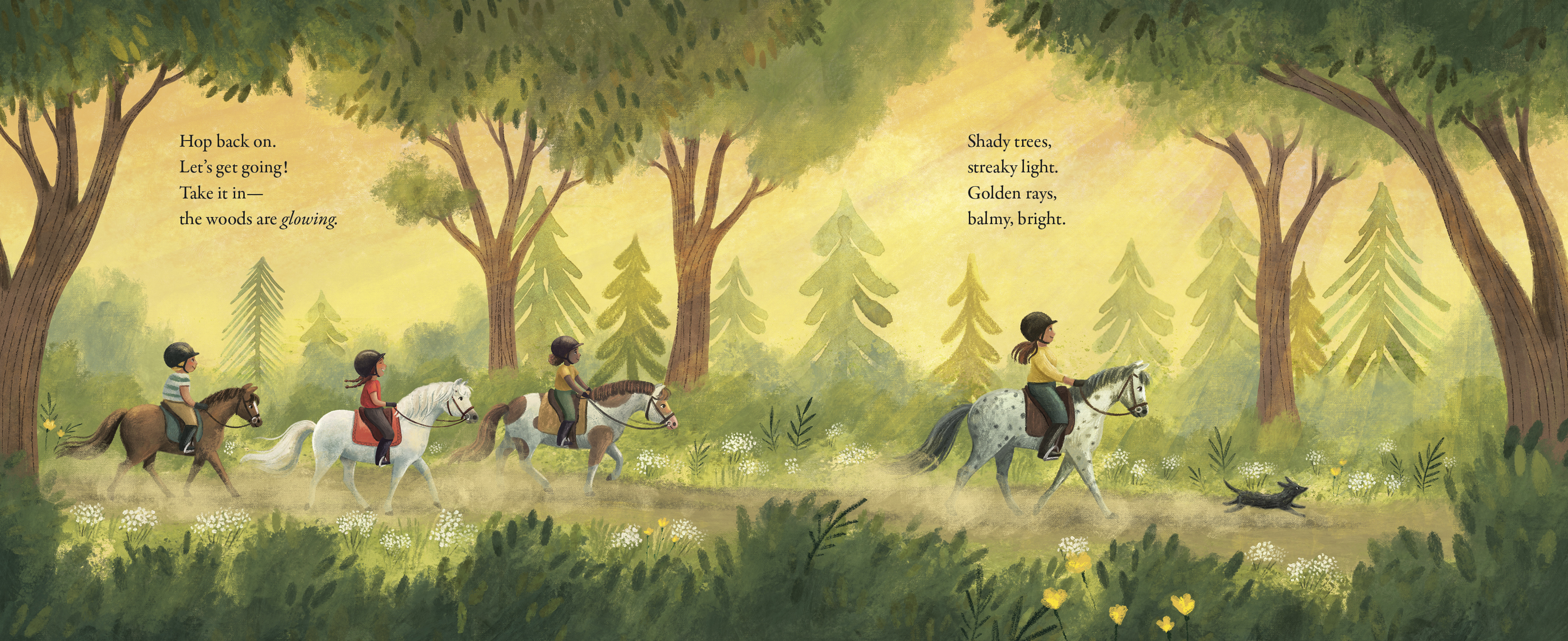 additional book photo