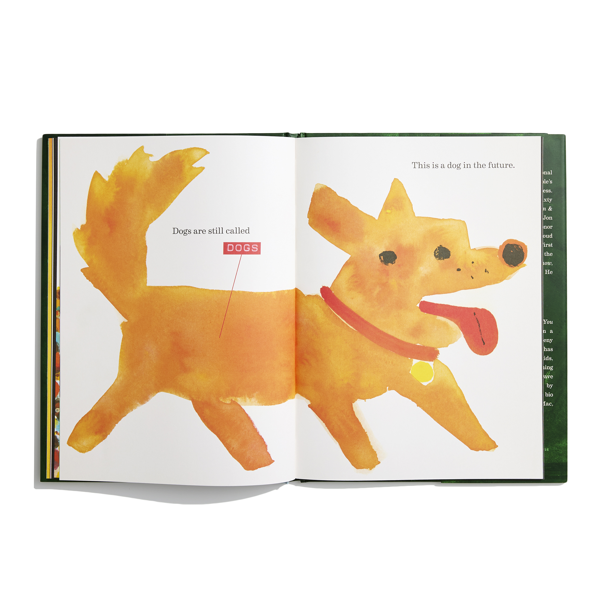 additional book photo