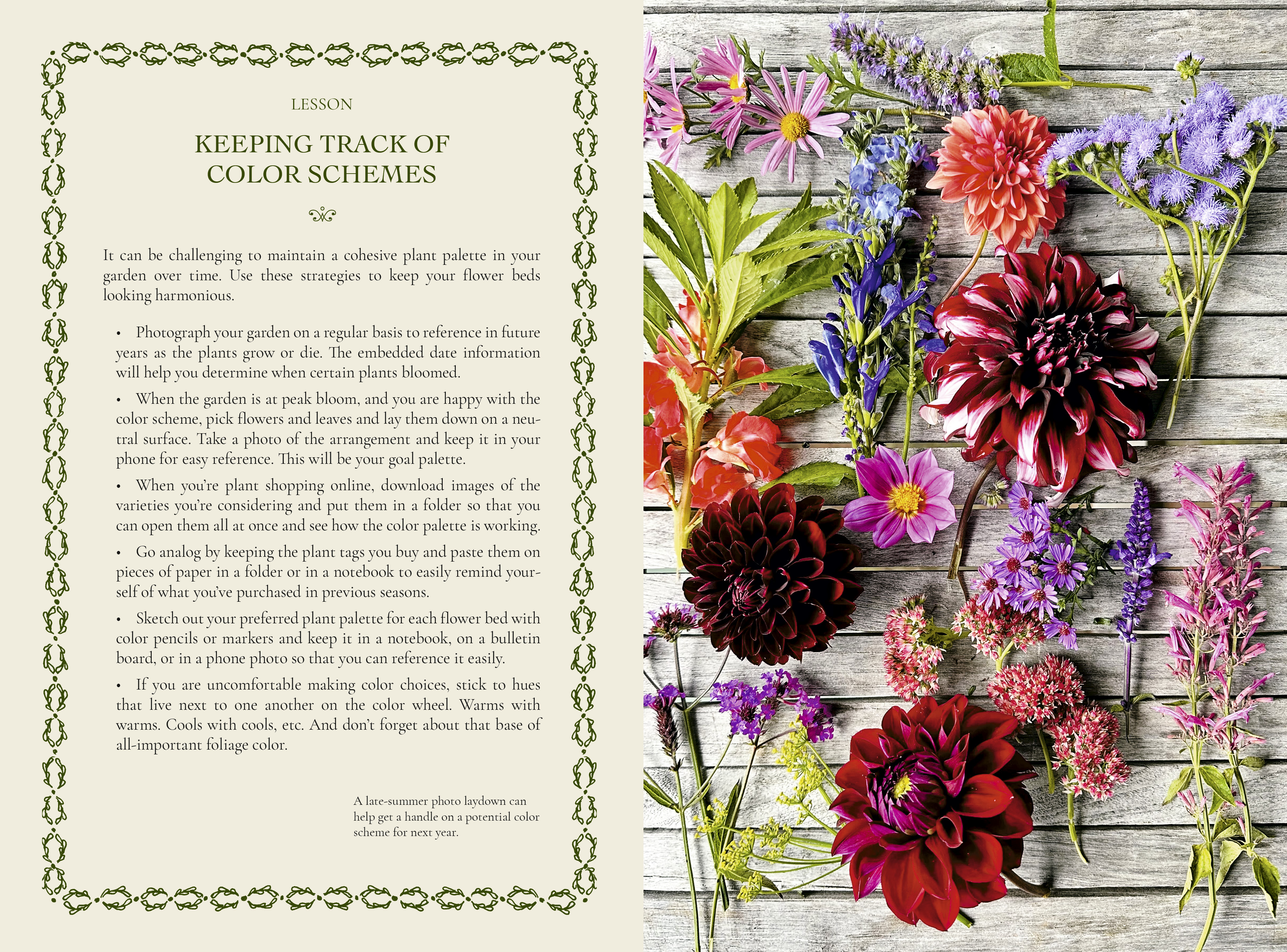 additional book photo