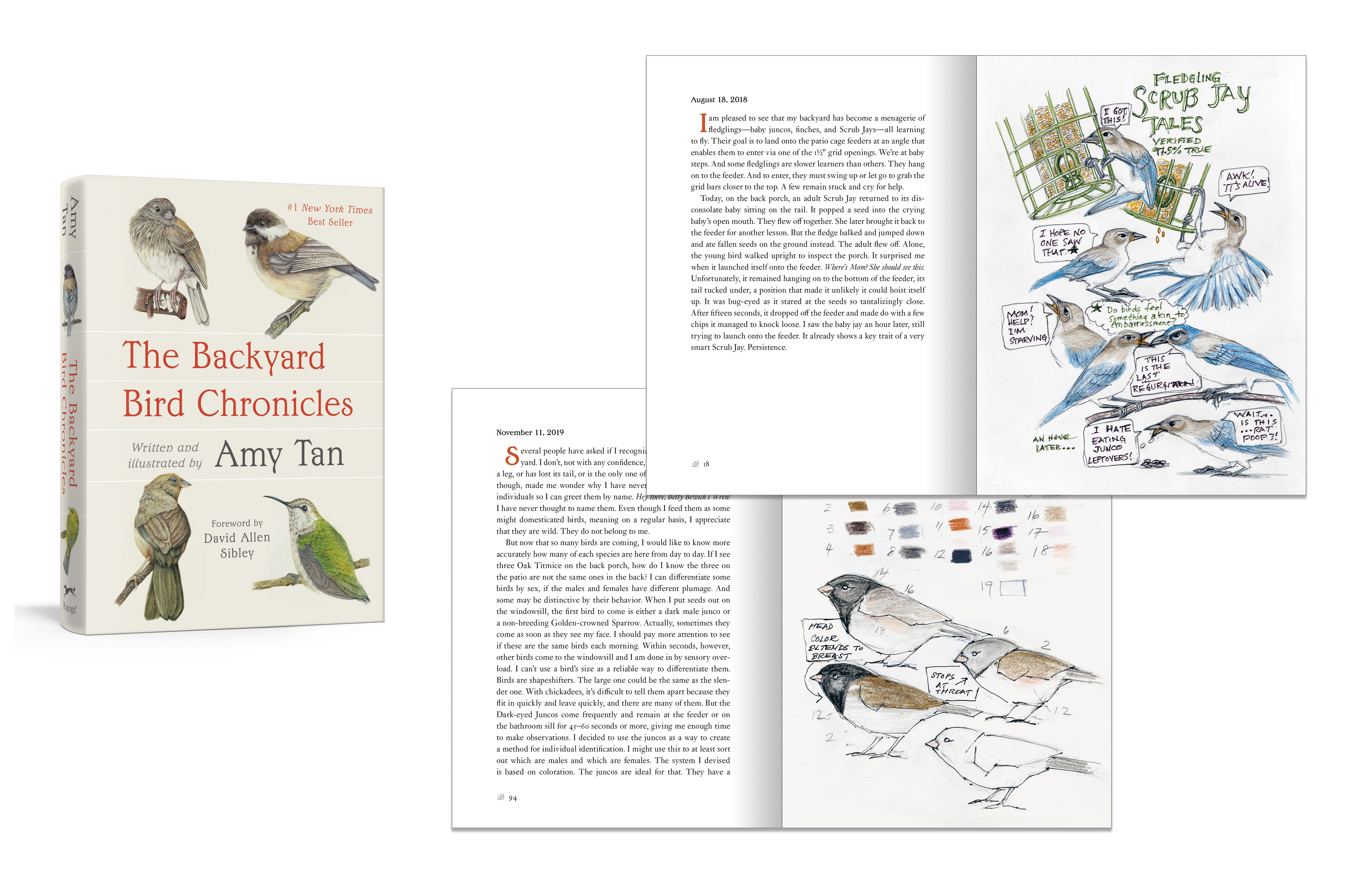 additional book photo
