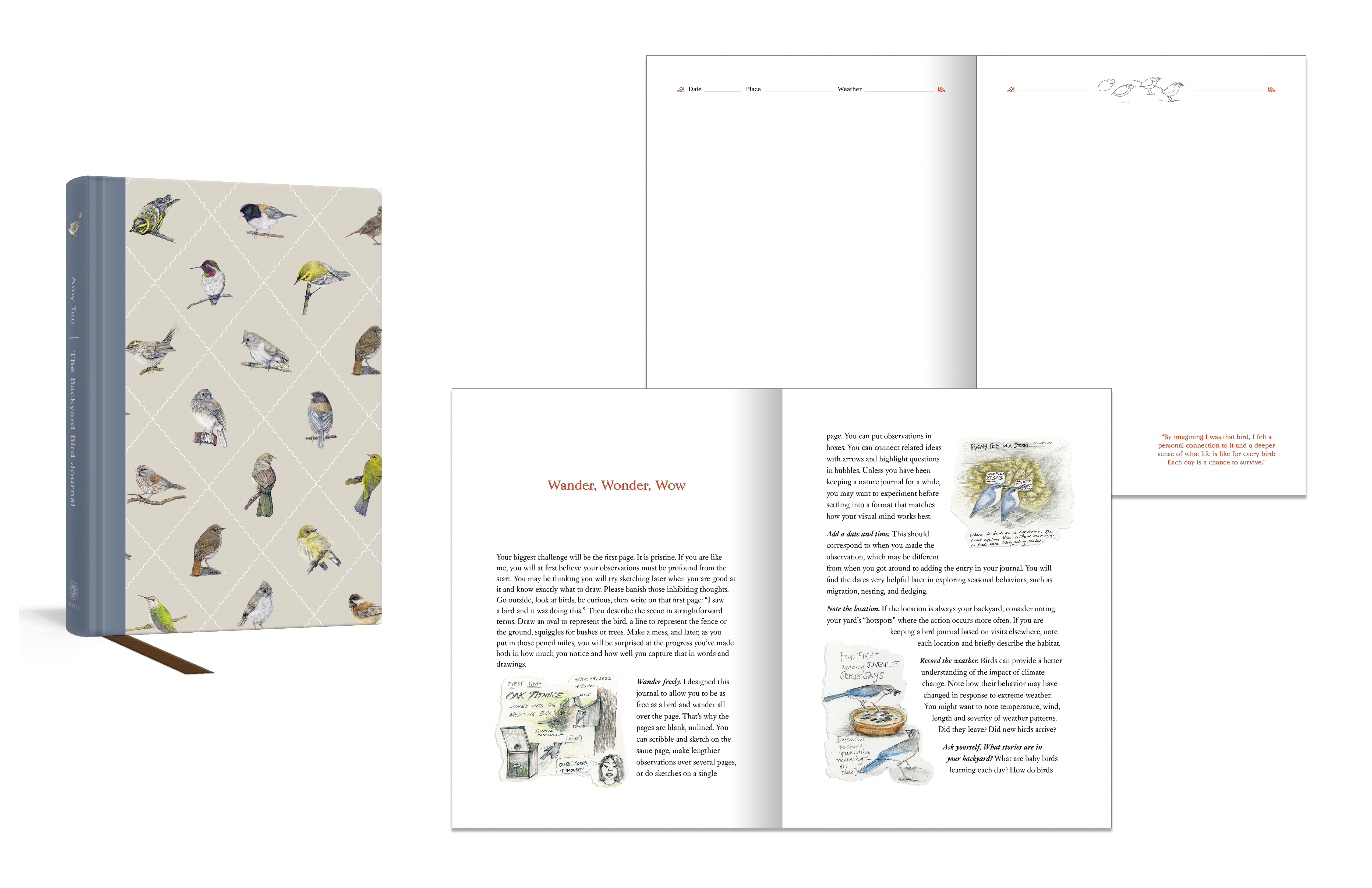 additional book photo