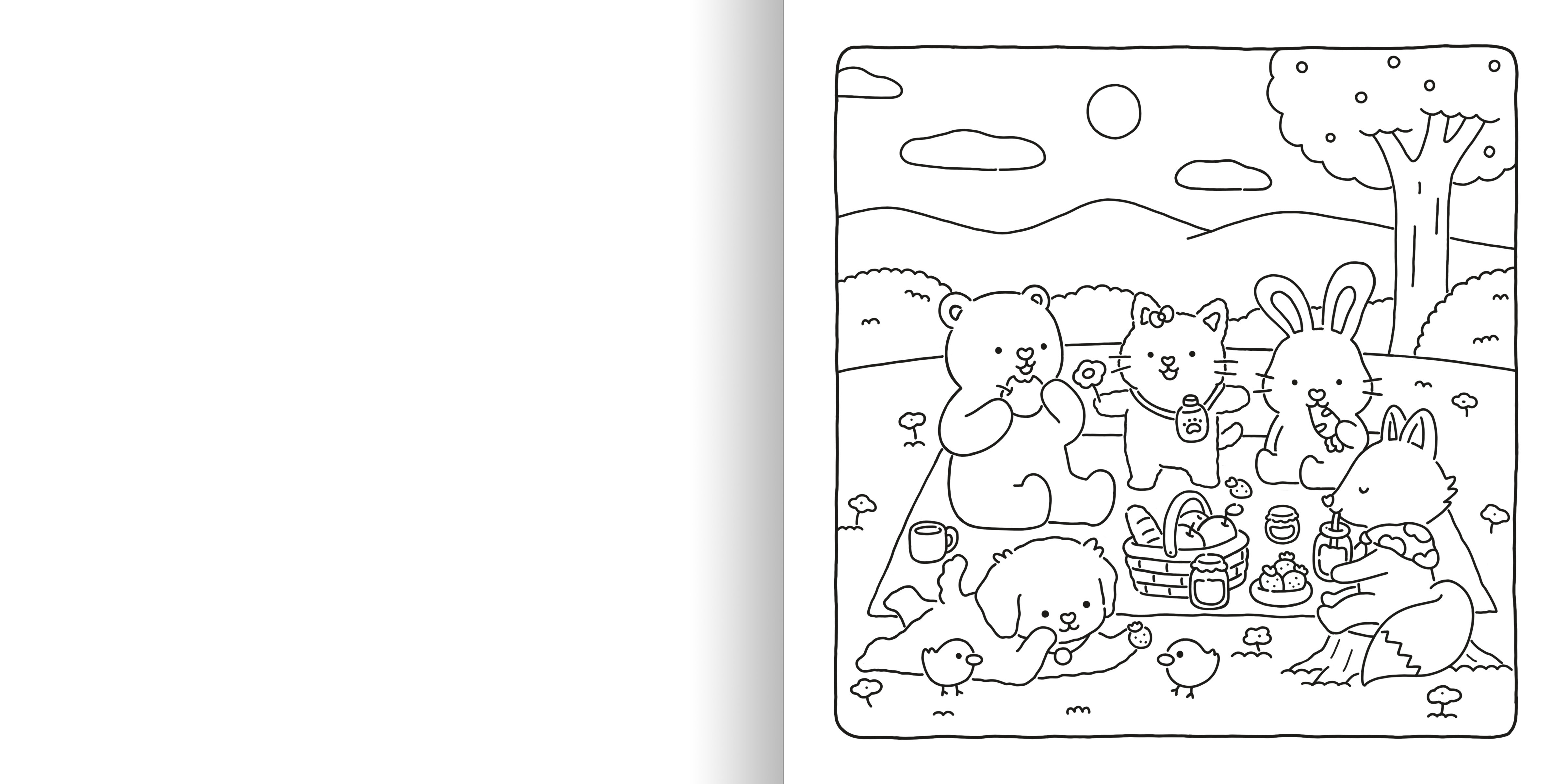 additional book photo
