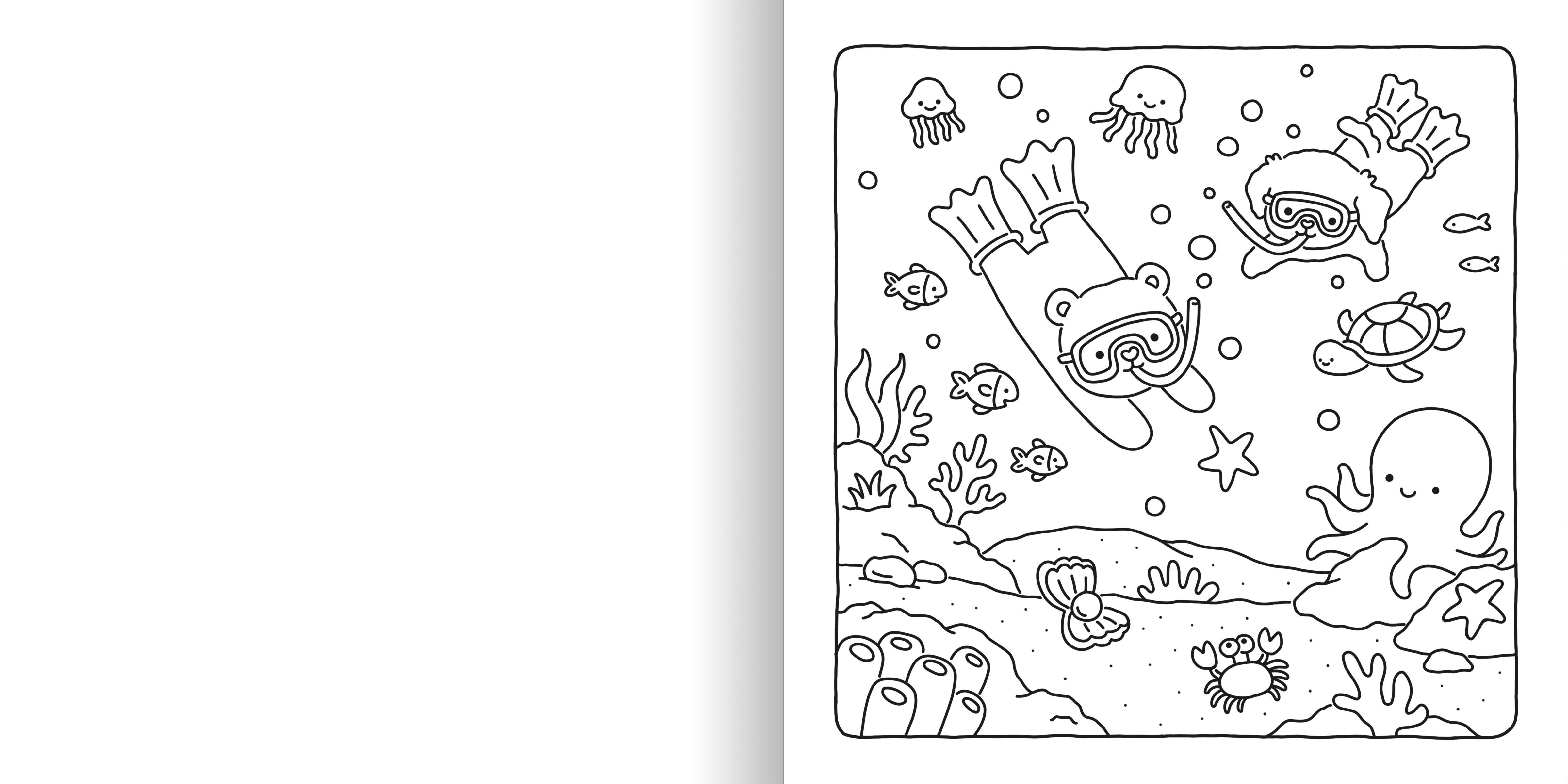 additional book photo