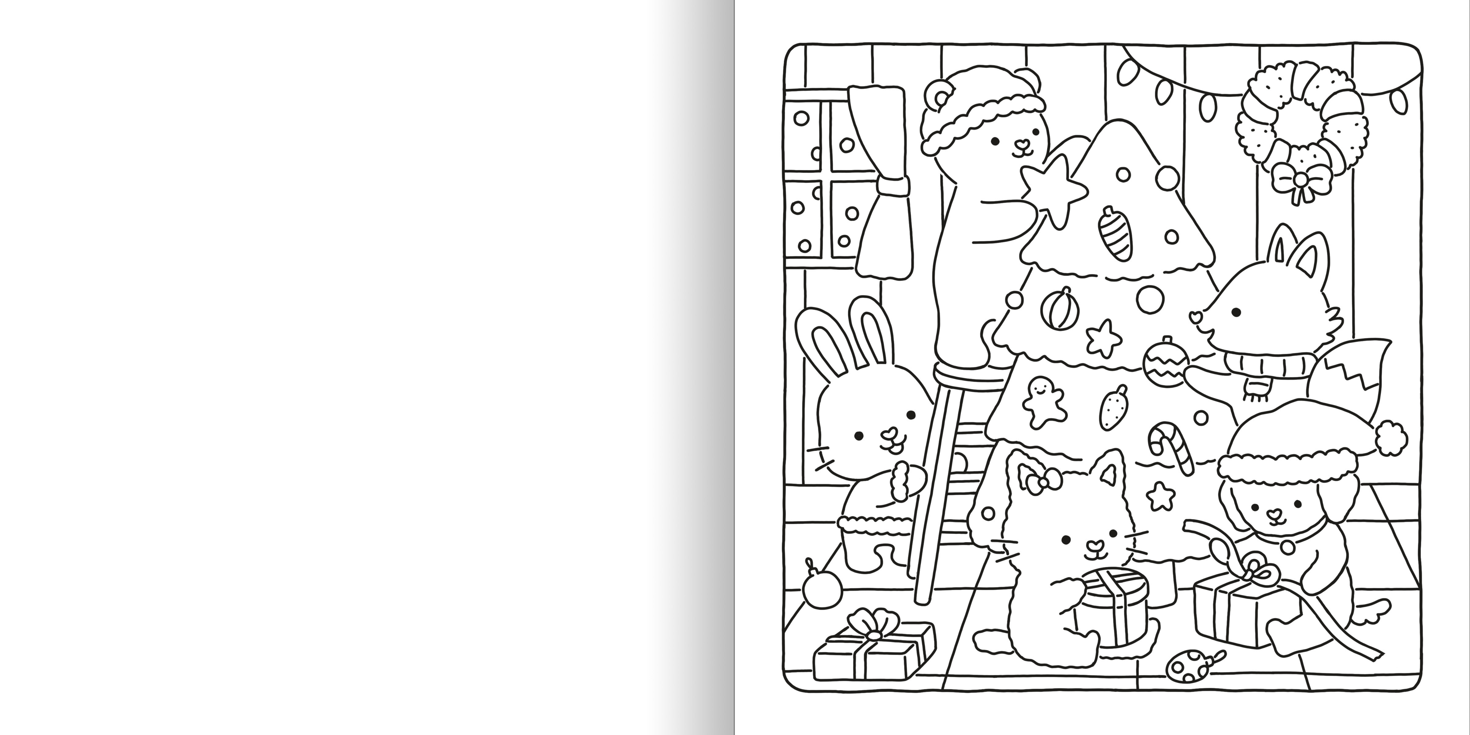 additional book photo