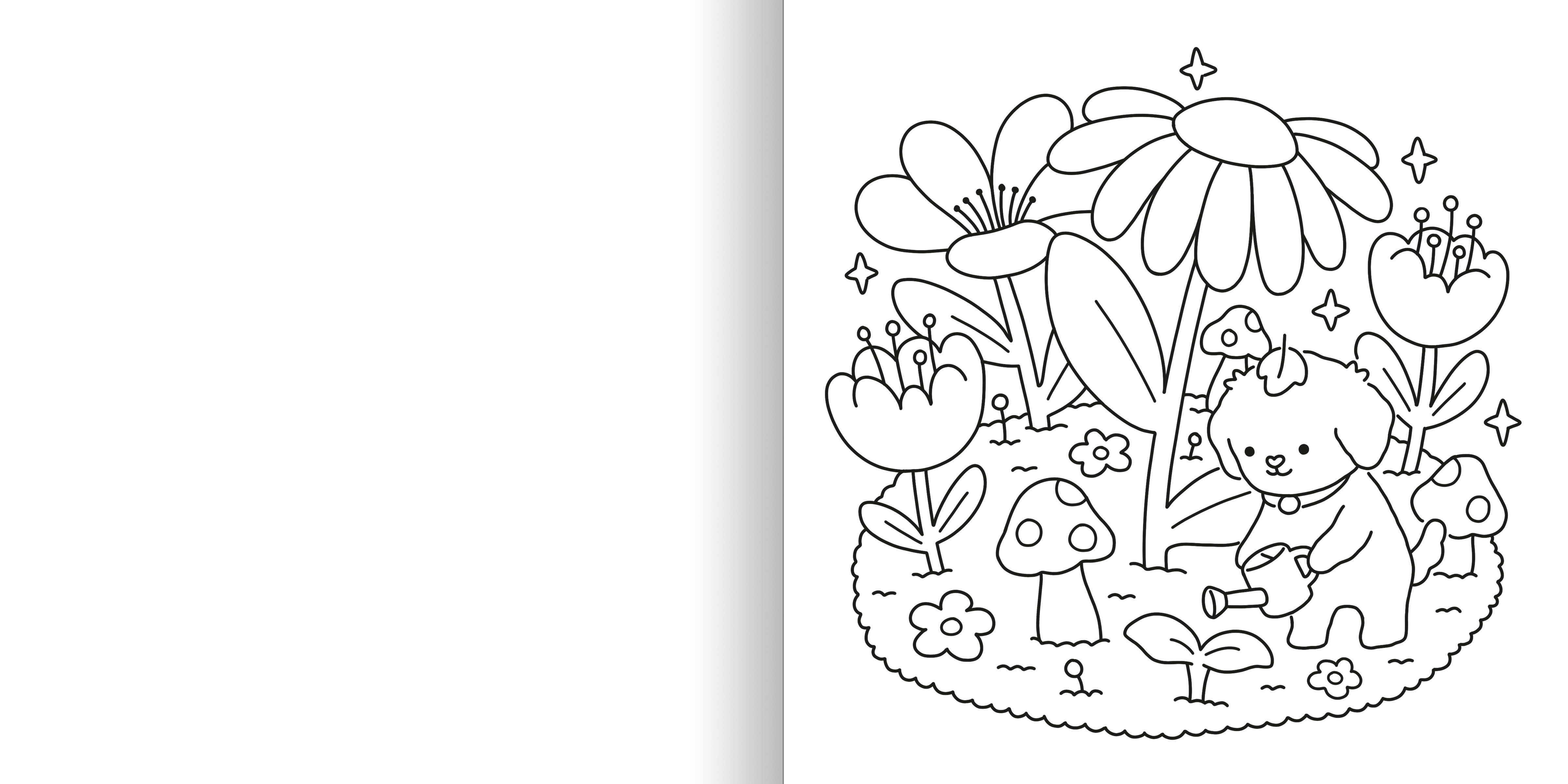 additional book photo
