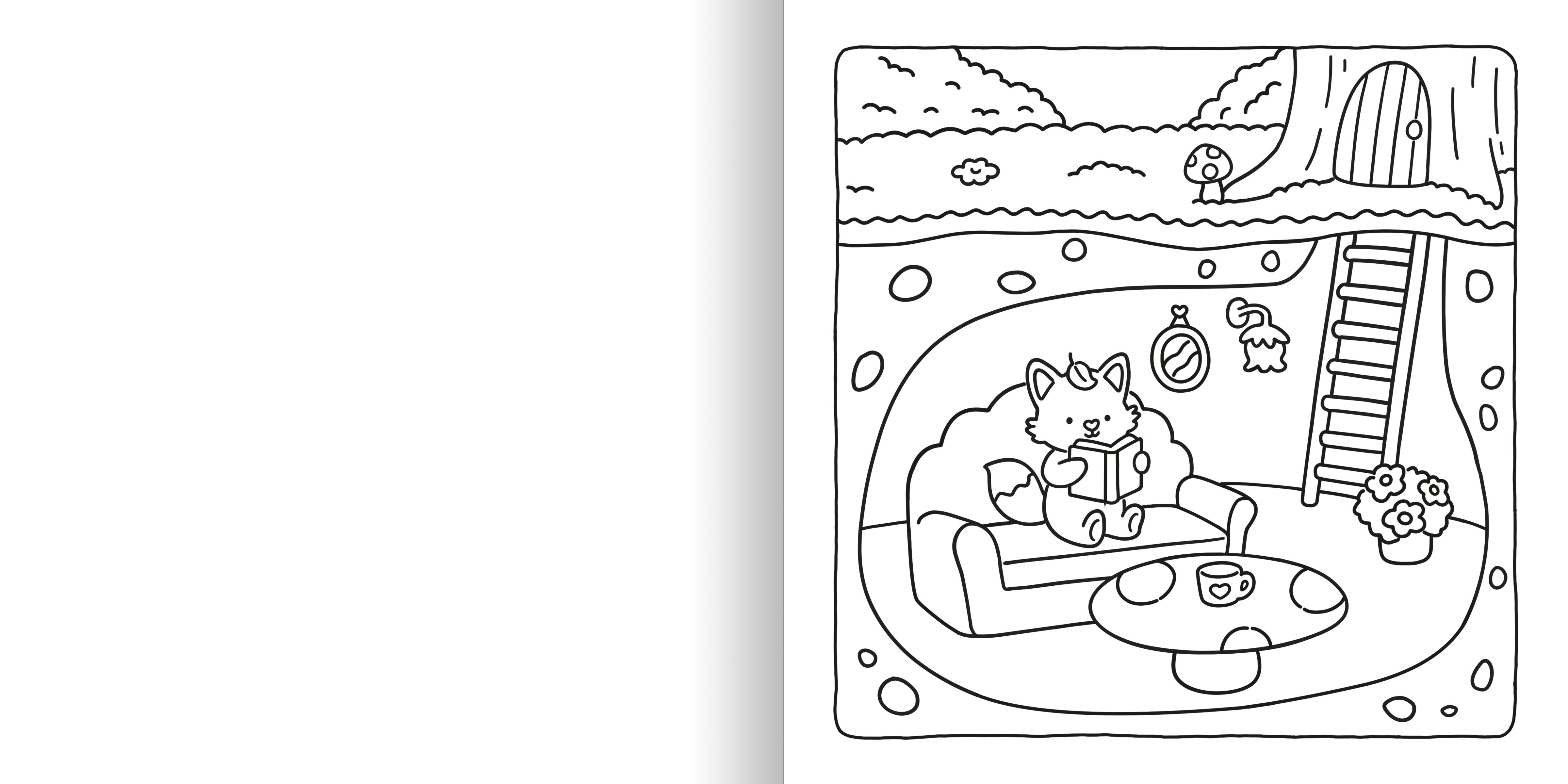 additional book photo