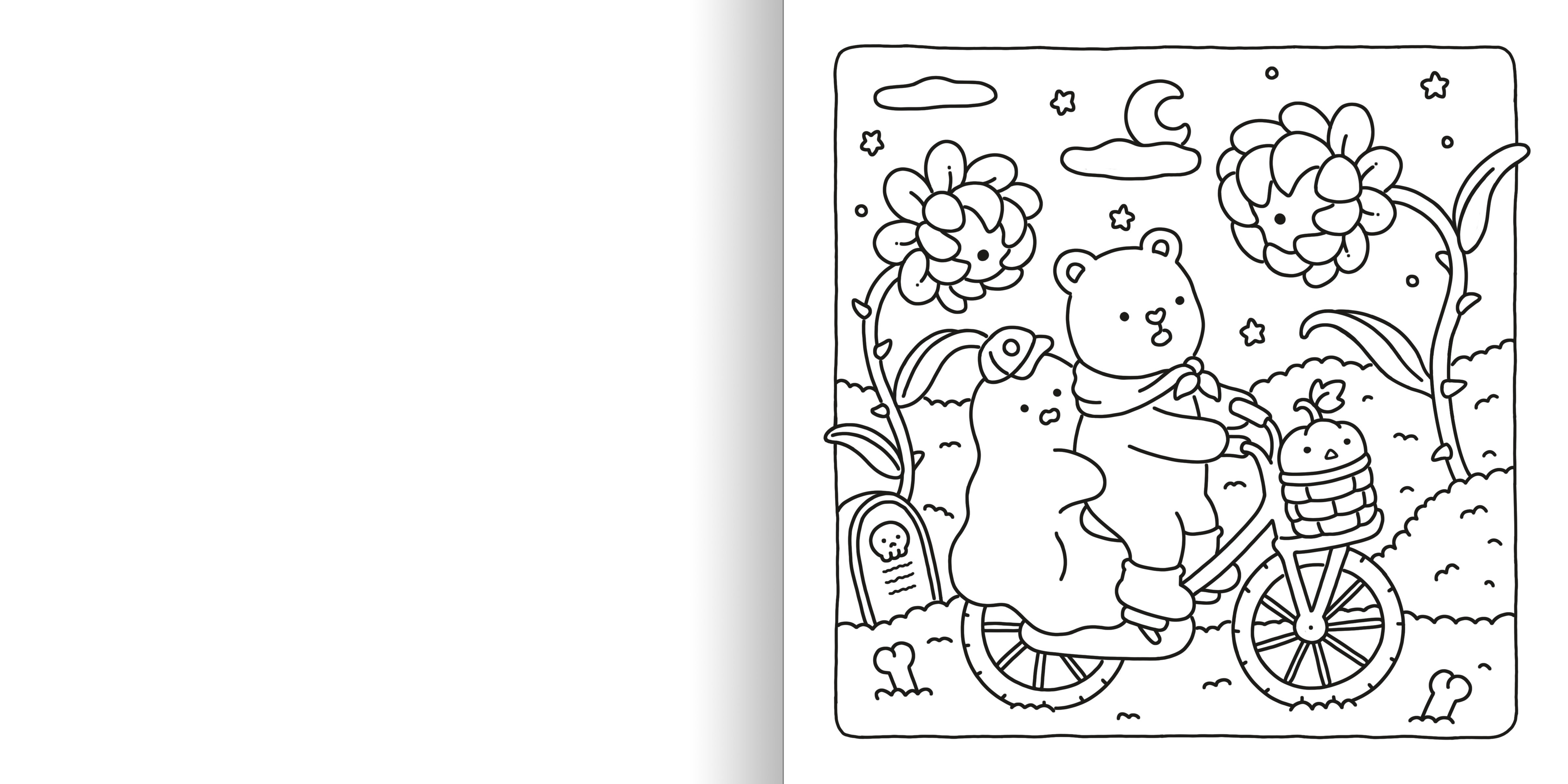 additional book photo