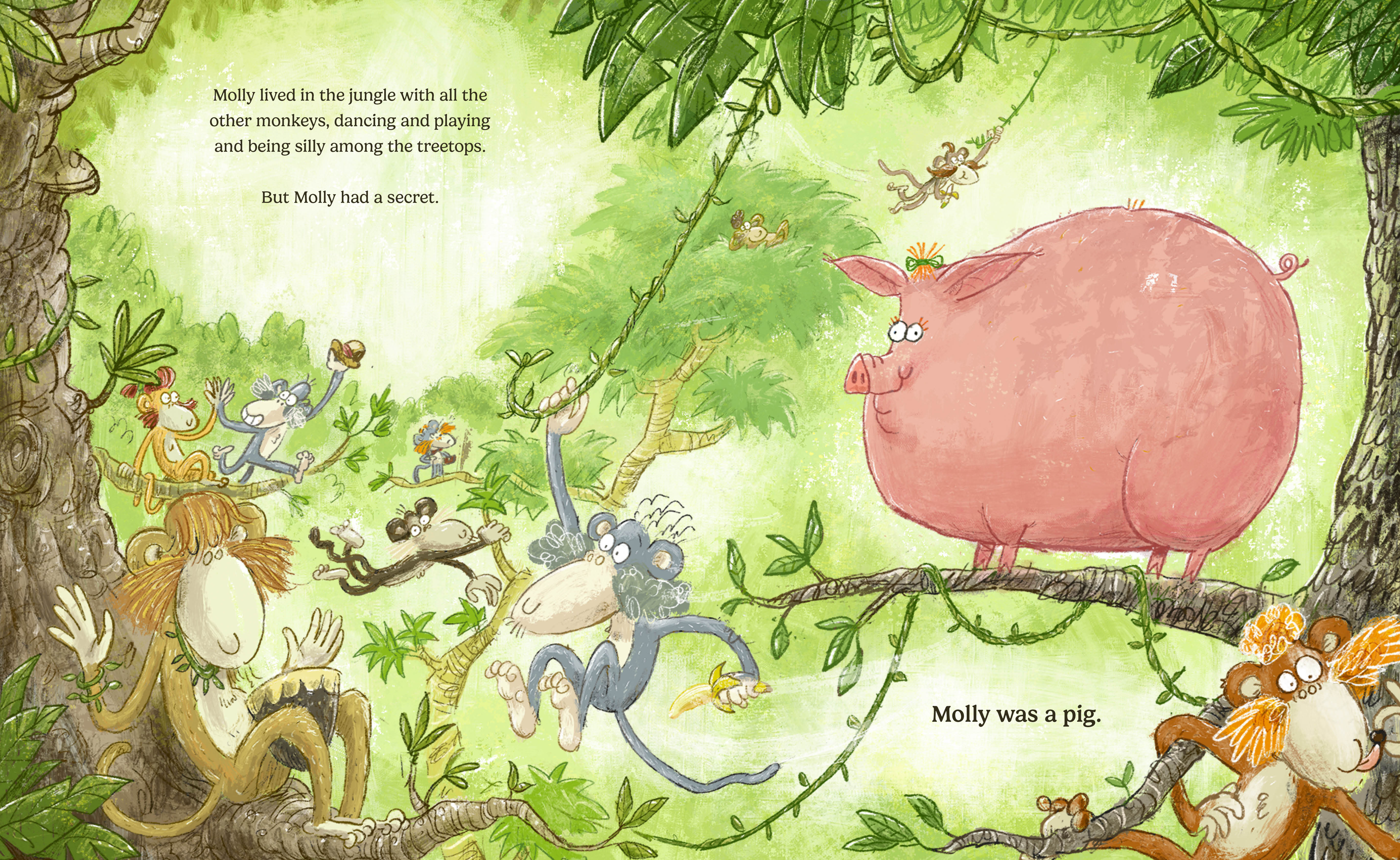 additional book photo