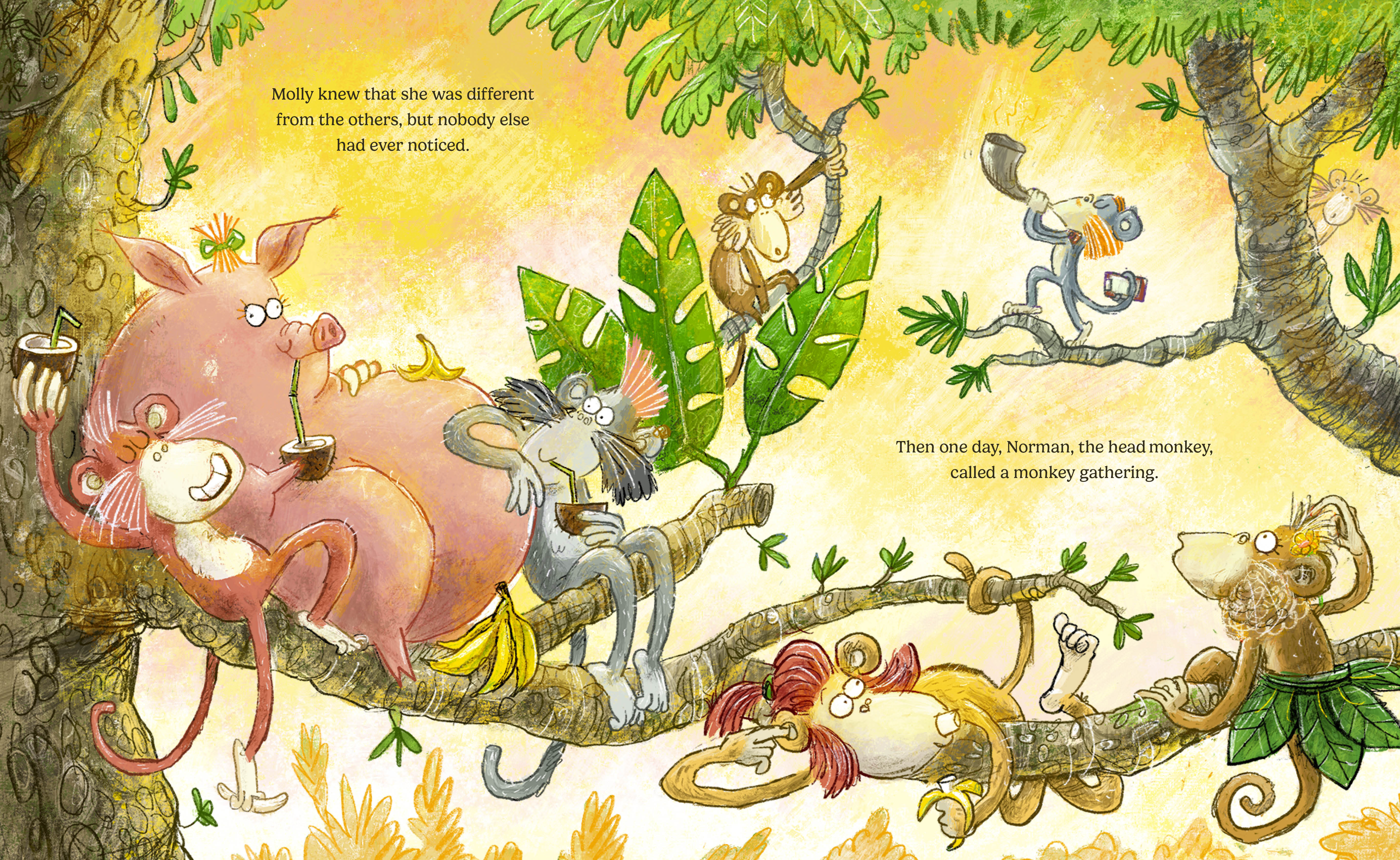 additional book photo