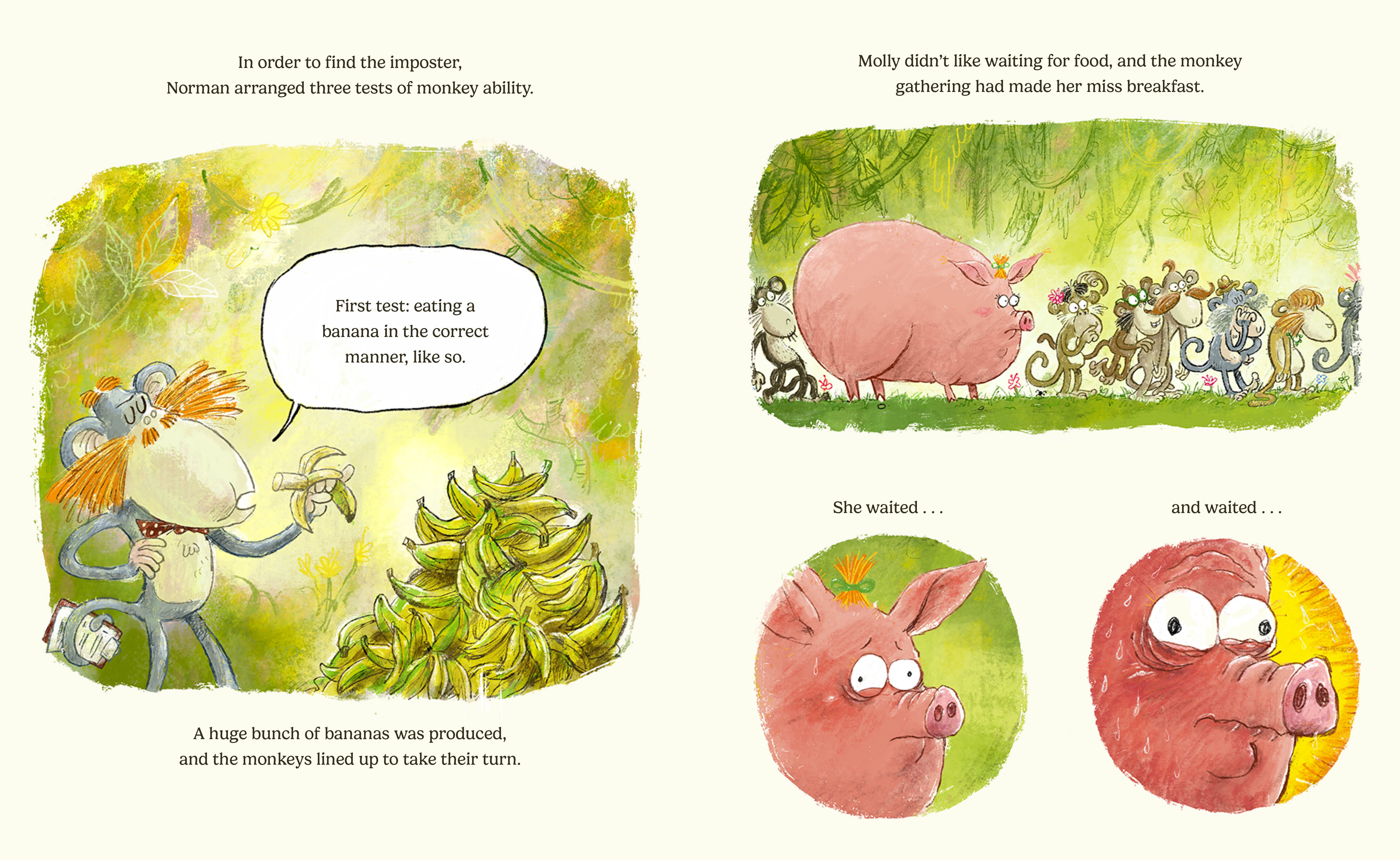 additional book photo