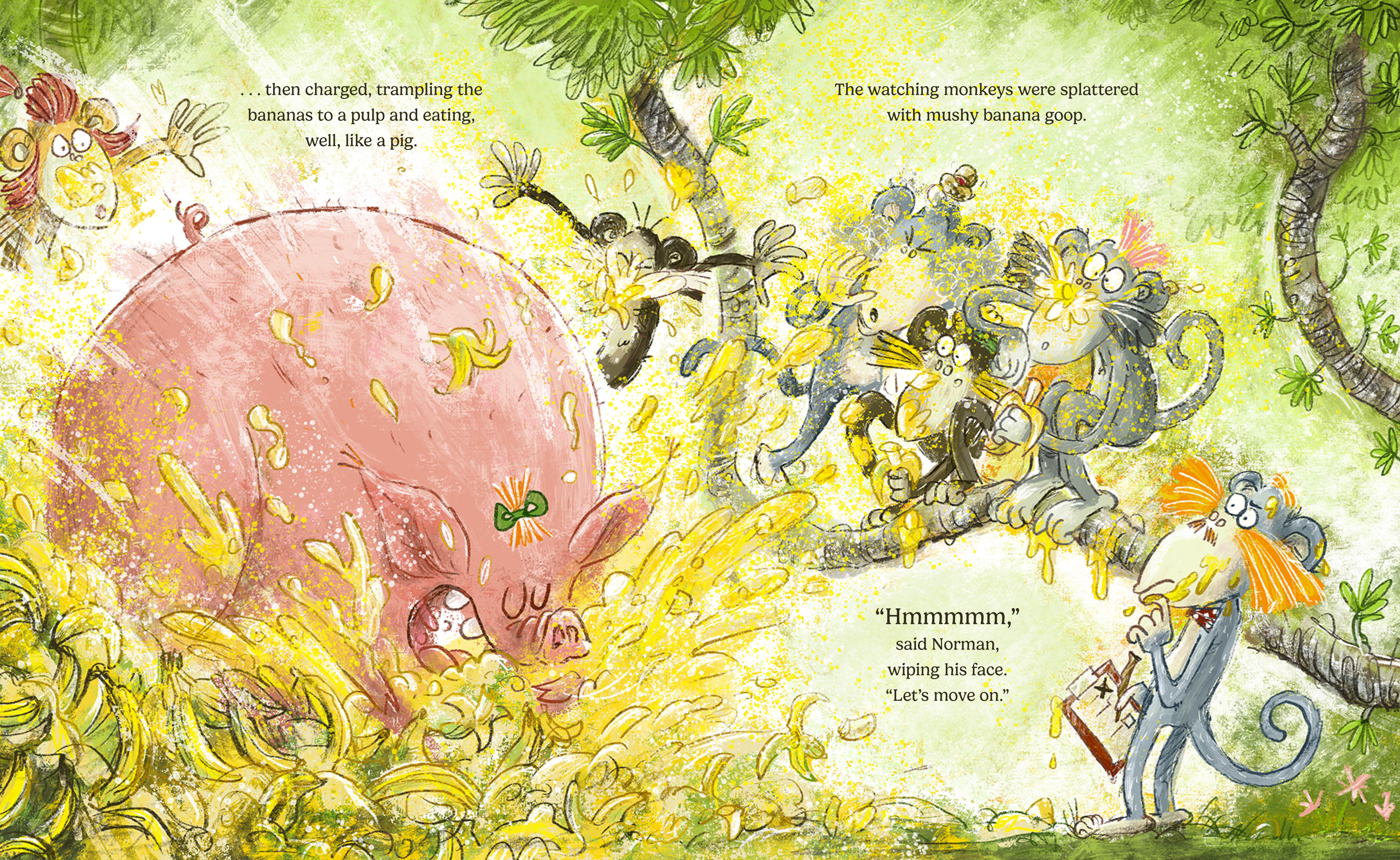 additional book photo