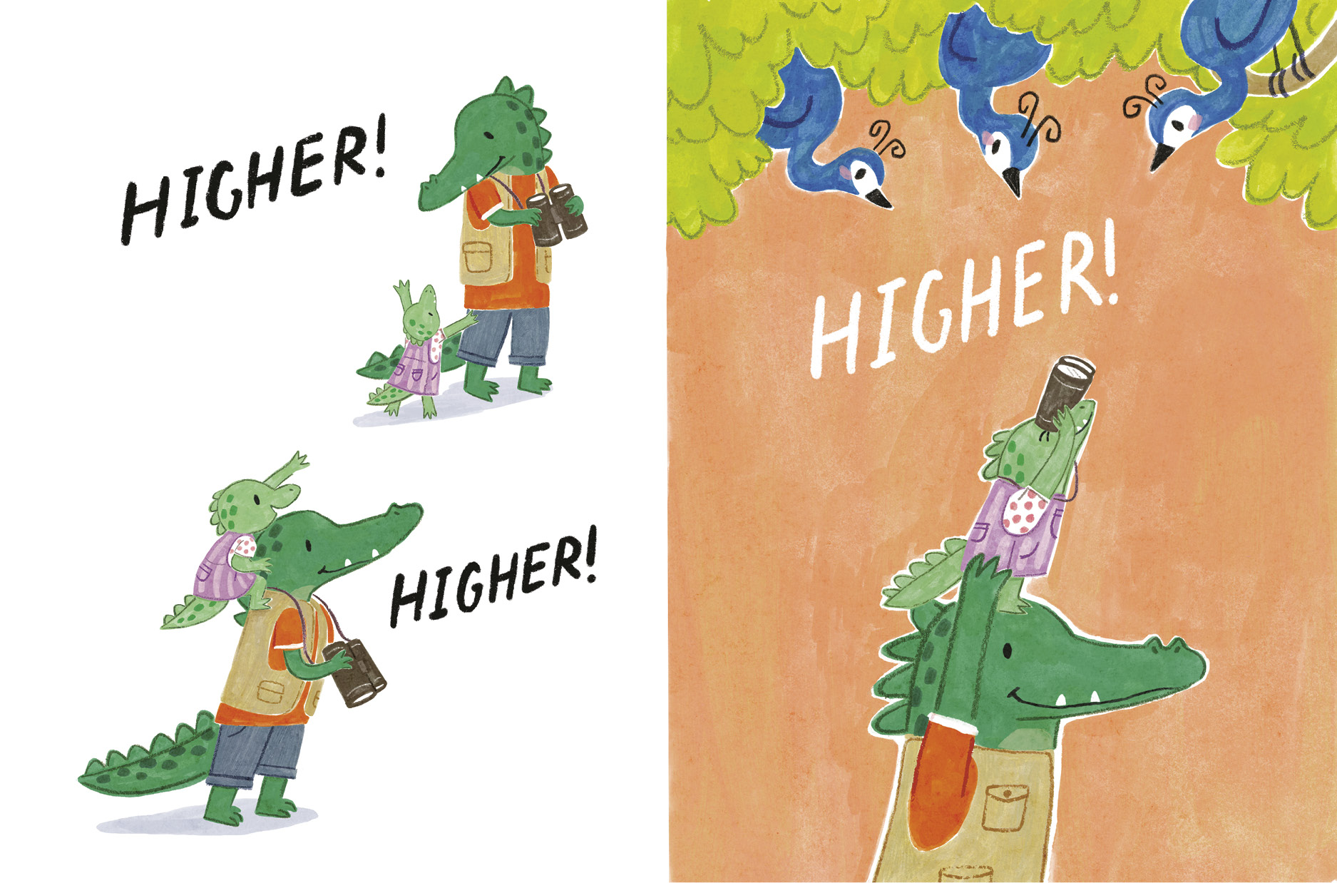 additional book photo