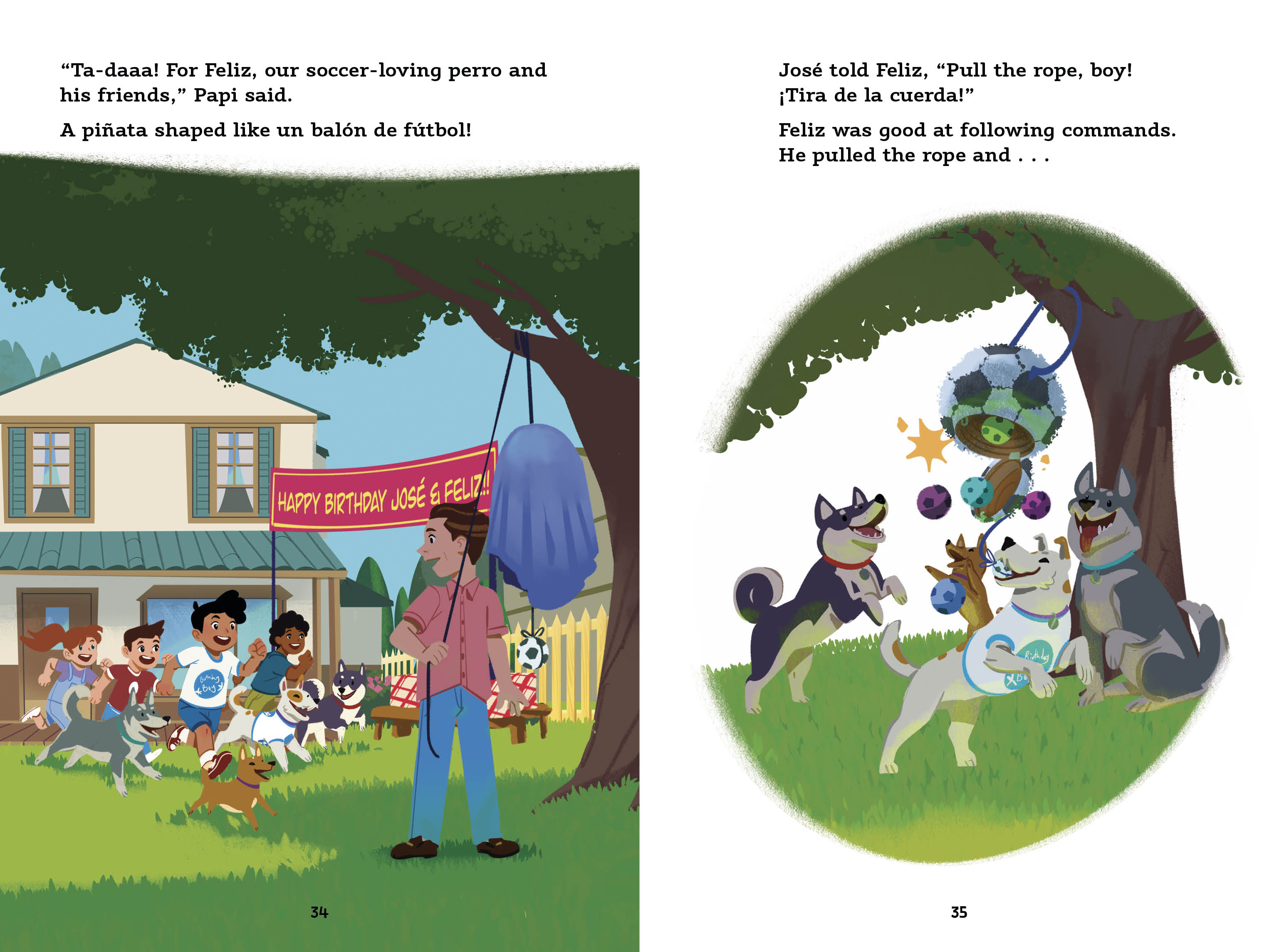 additional book photo