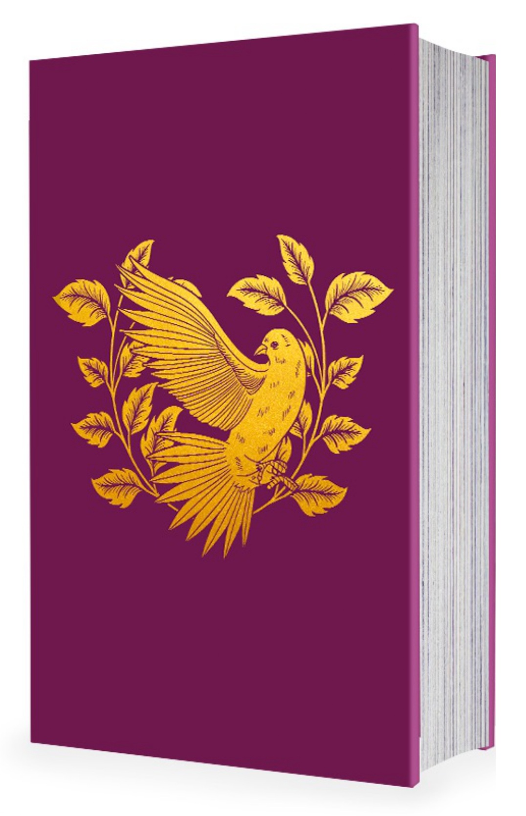 additional book photo