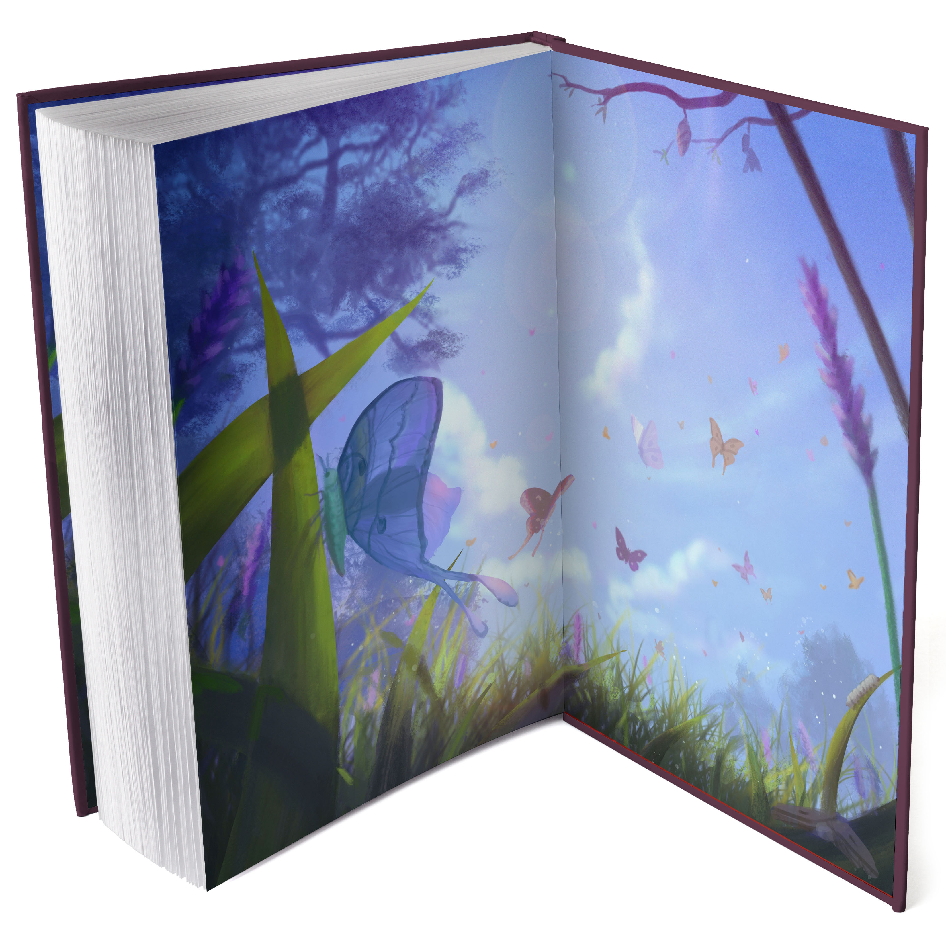 additional book photo