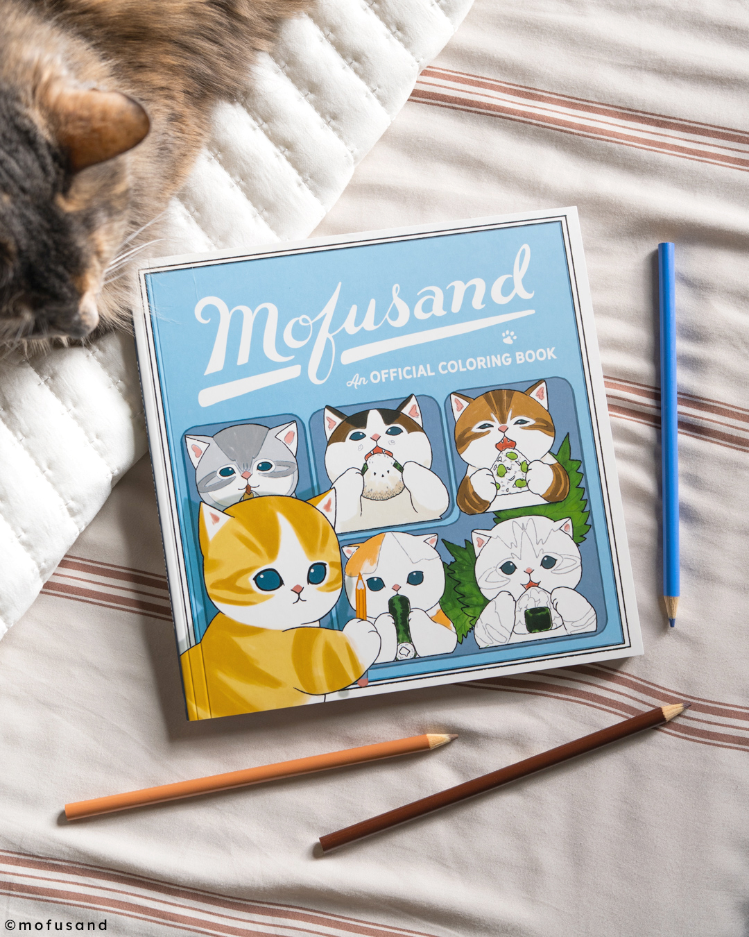 additional book photo