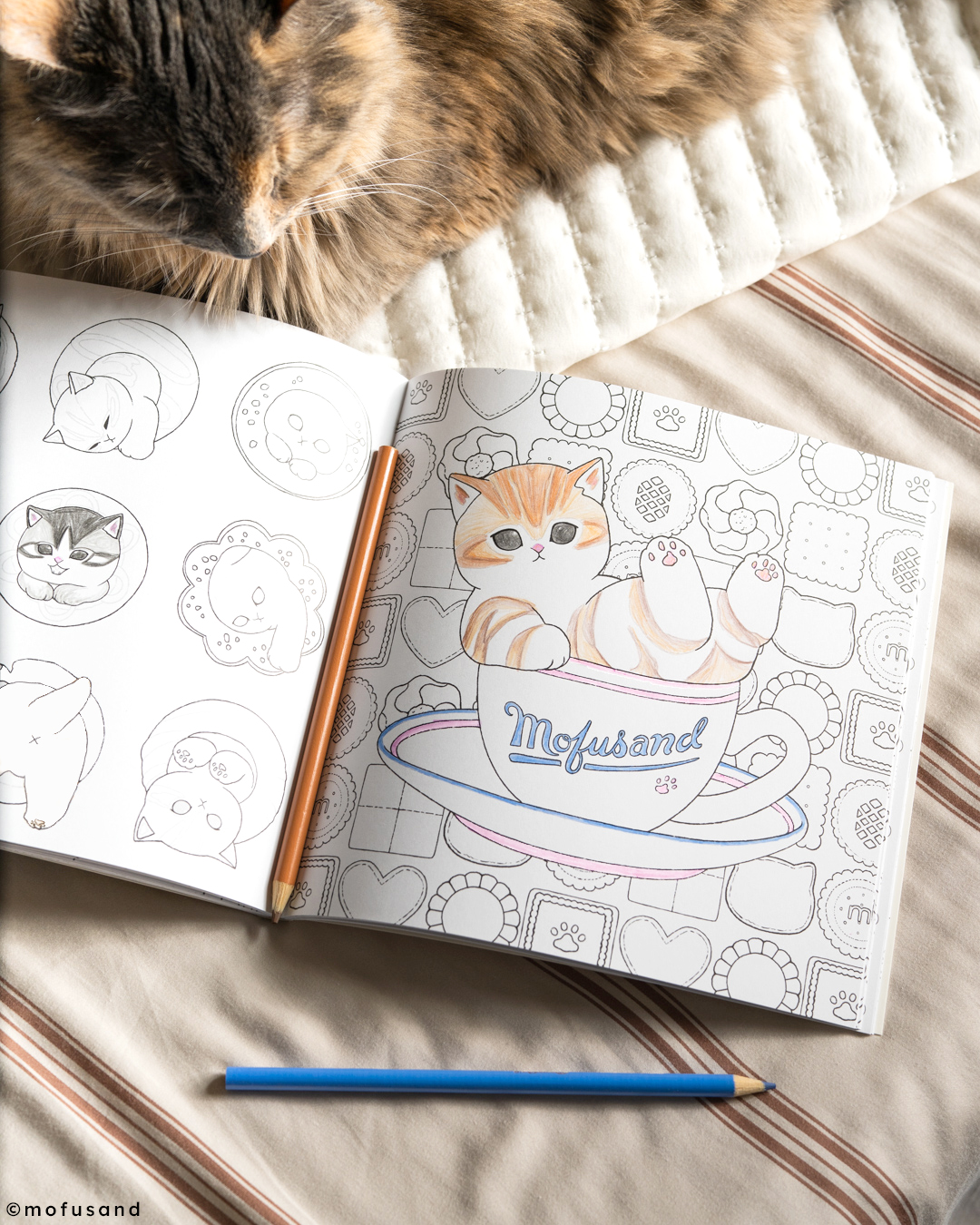 additional book photo