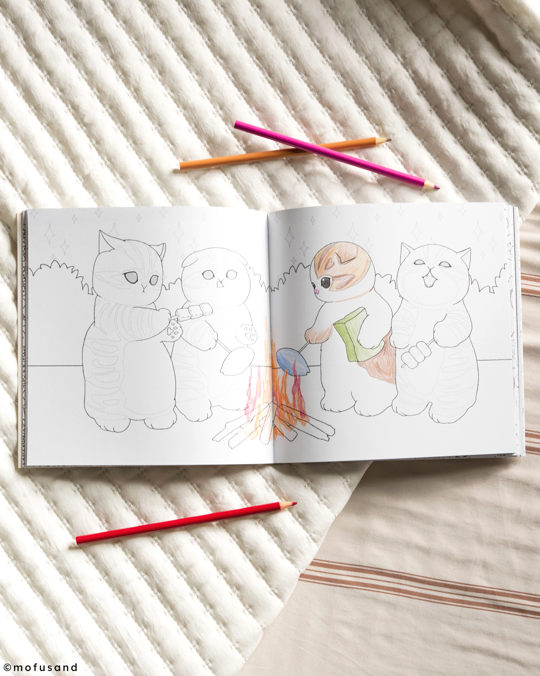 additional book photo